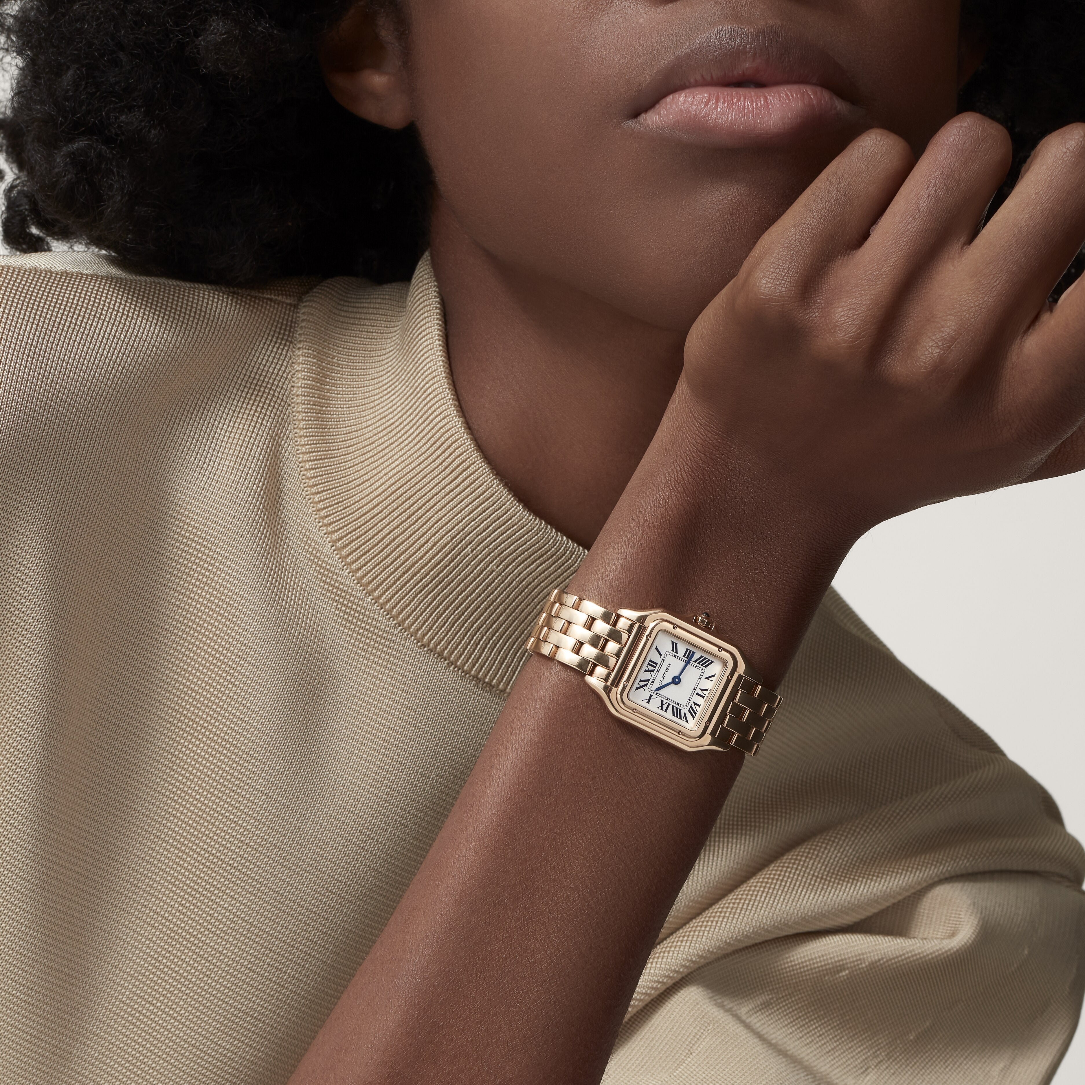 Panthère de Cartier2