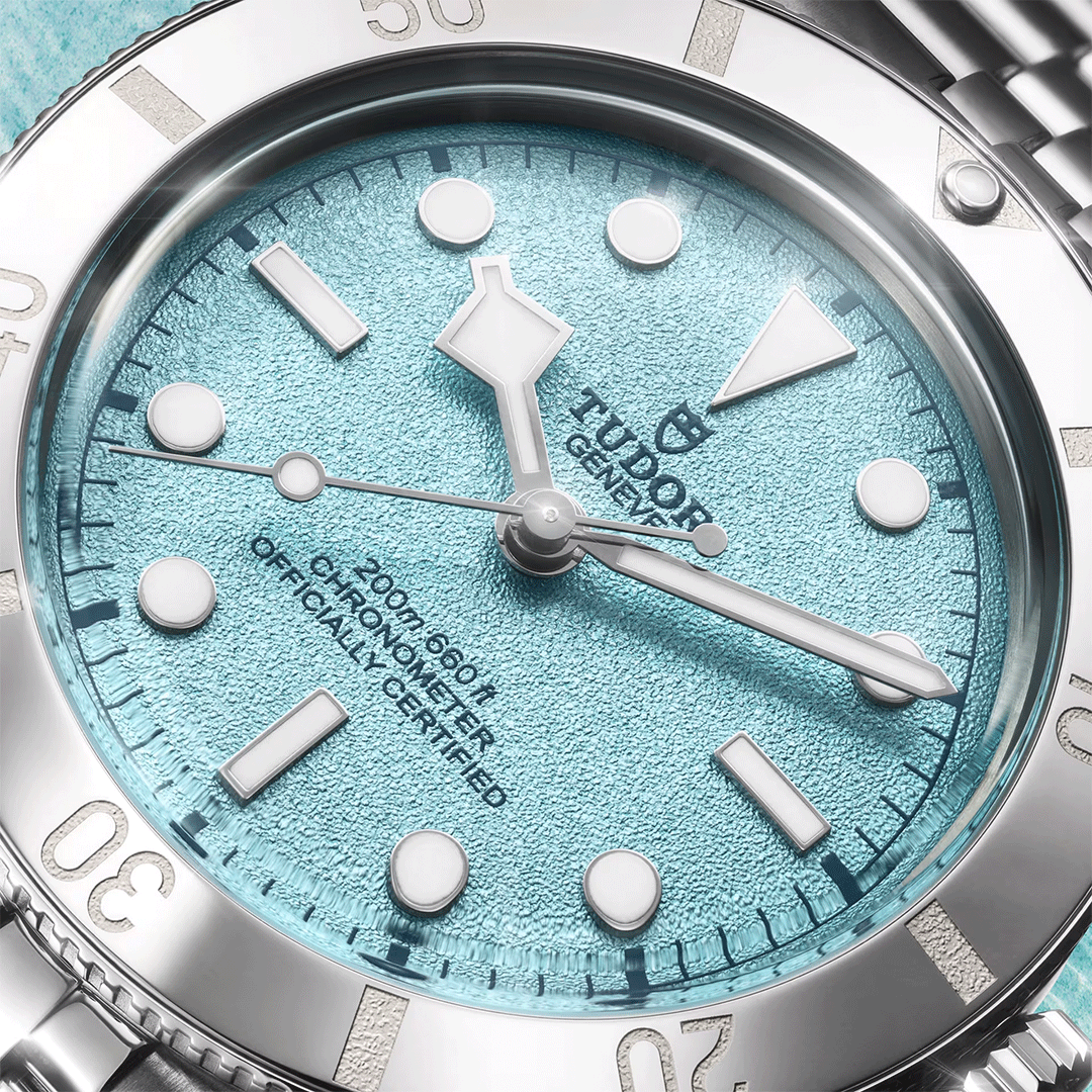 Watch in steel Black Bay 54 