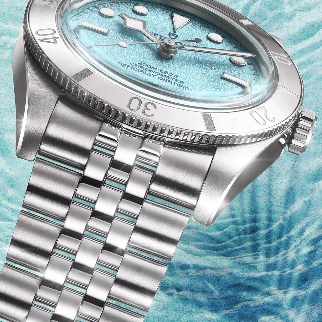 Watch in steel Black Bay 54 