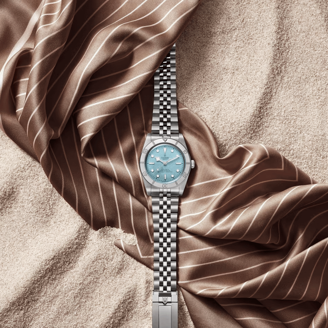 Watch in steel Black Bay 54 