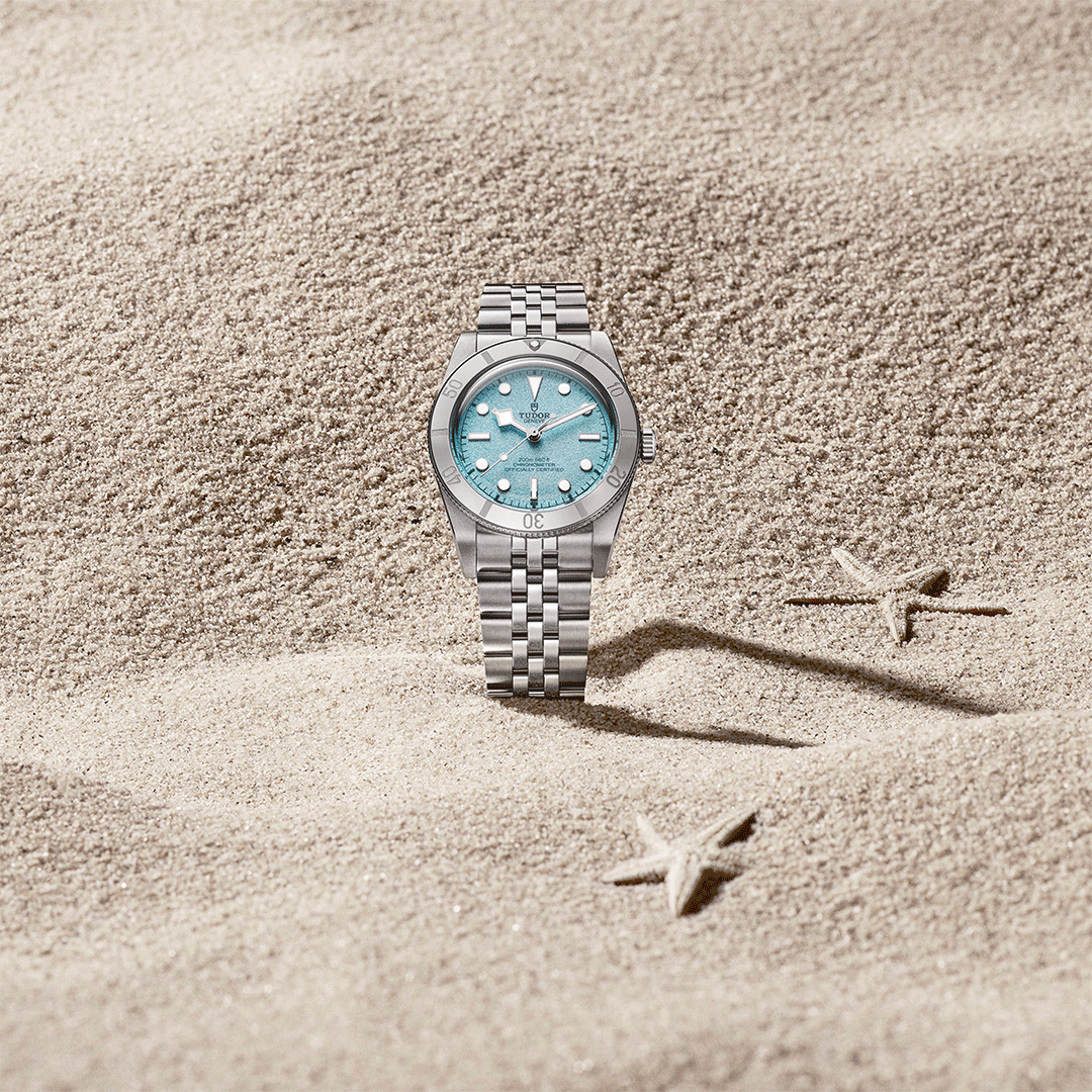 Watch in steel Black Bay 54 