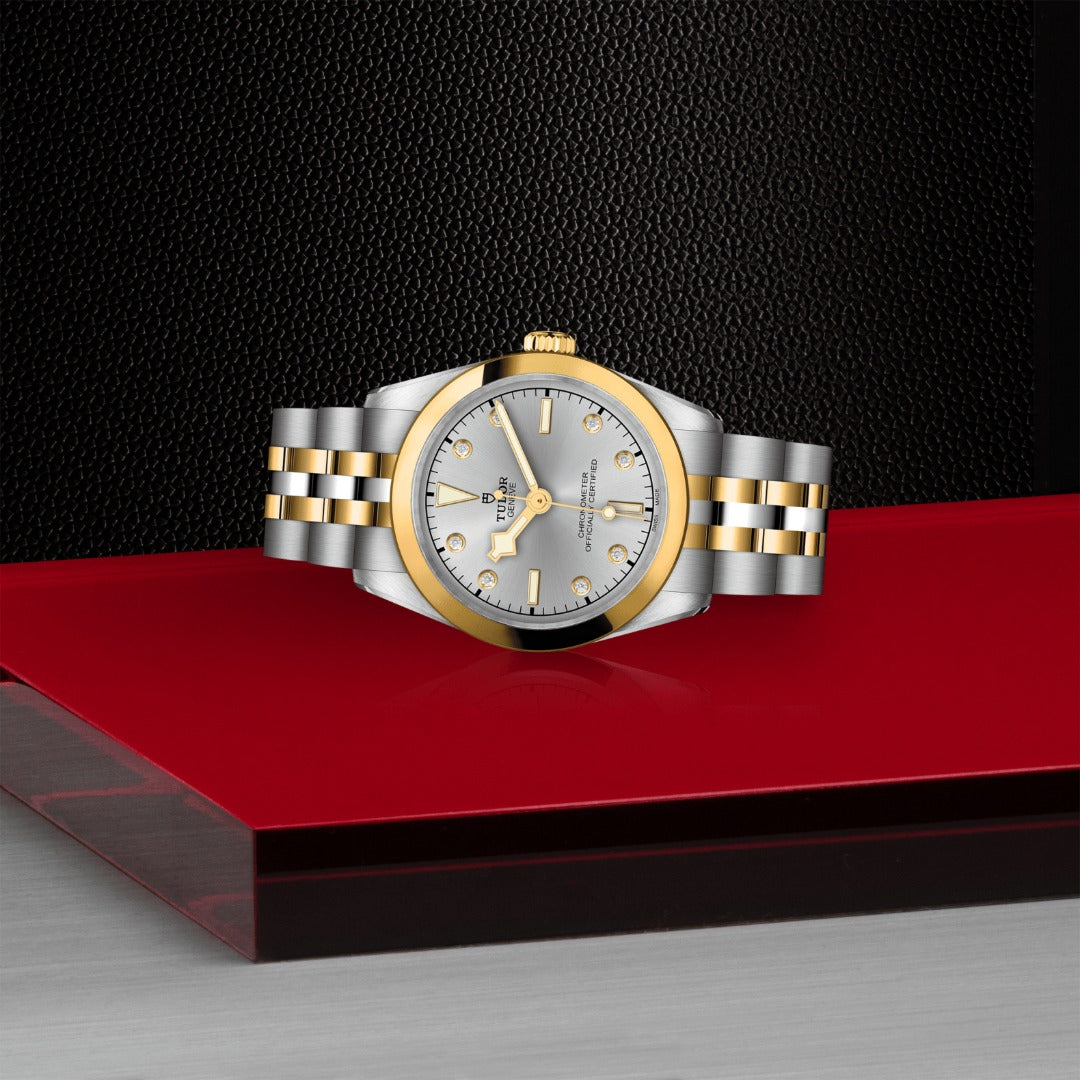 Orologio in acciaio e oro giallo Black Bay One 31 S&G Tudor