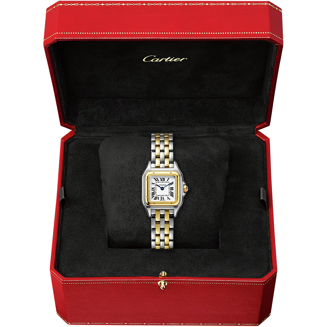 Panthère de Cartier7