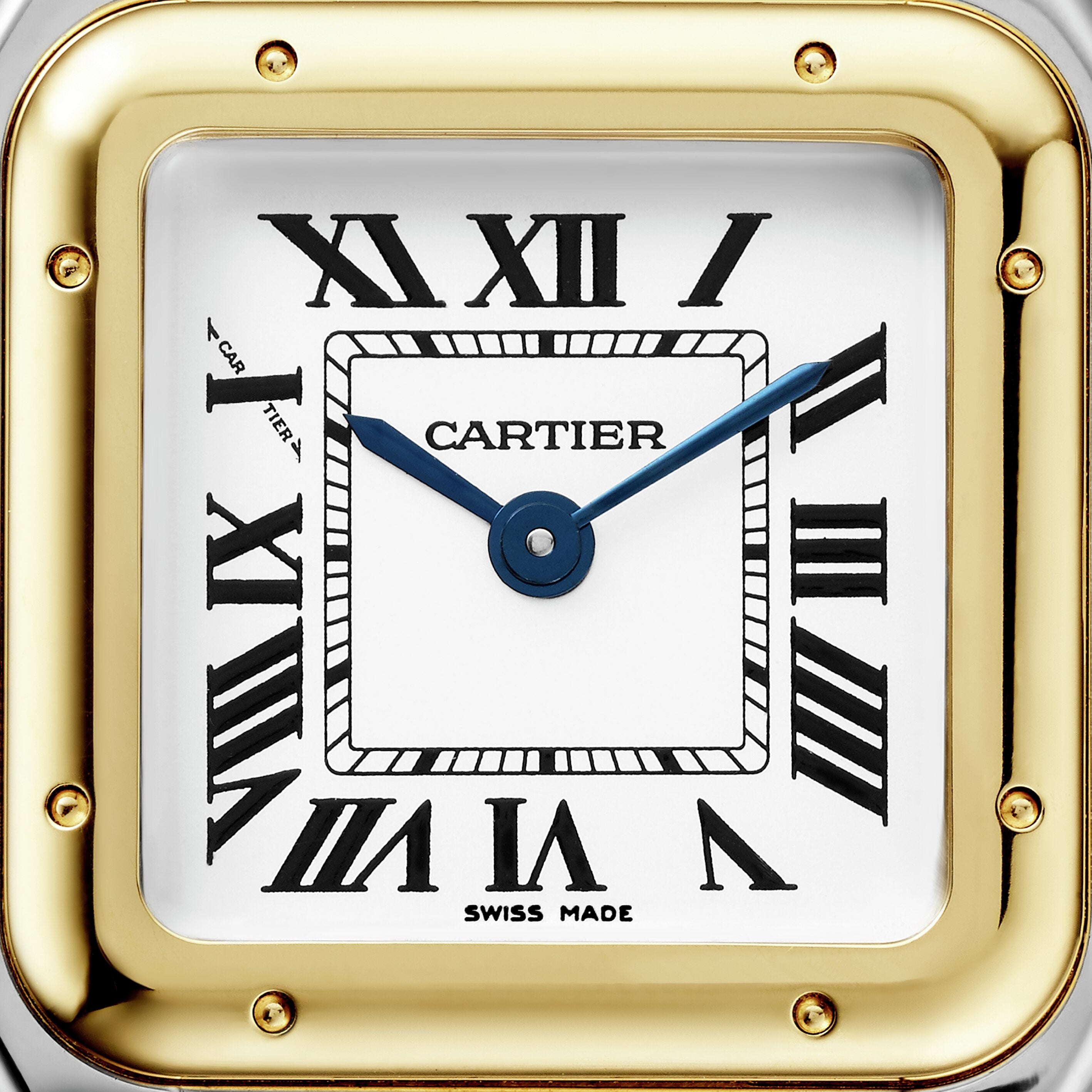 Panthère de Cartier3