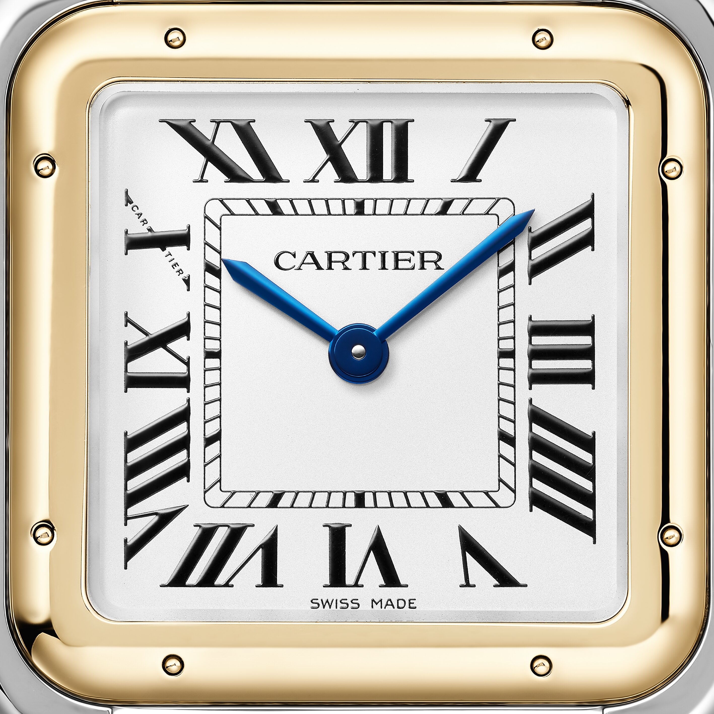 Panthère de Cartier5