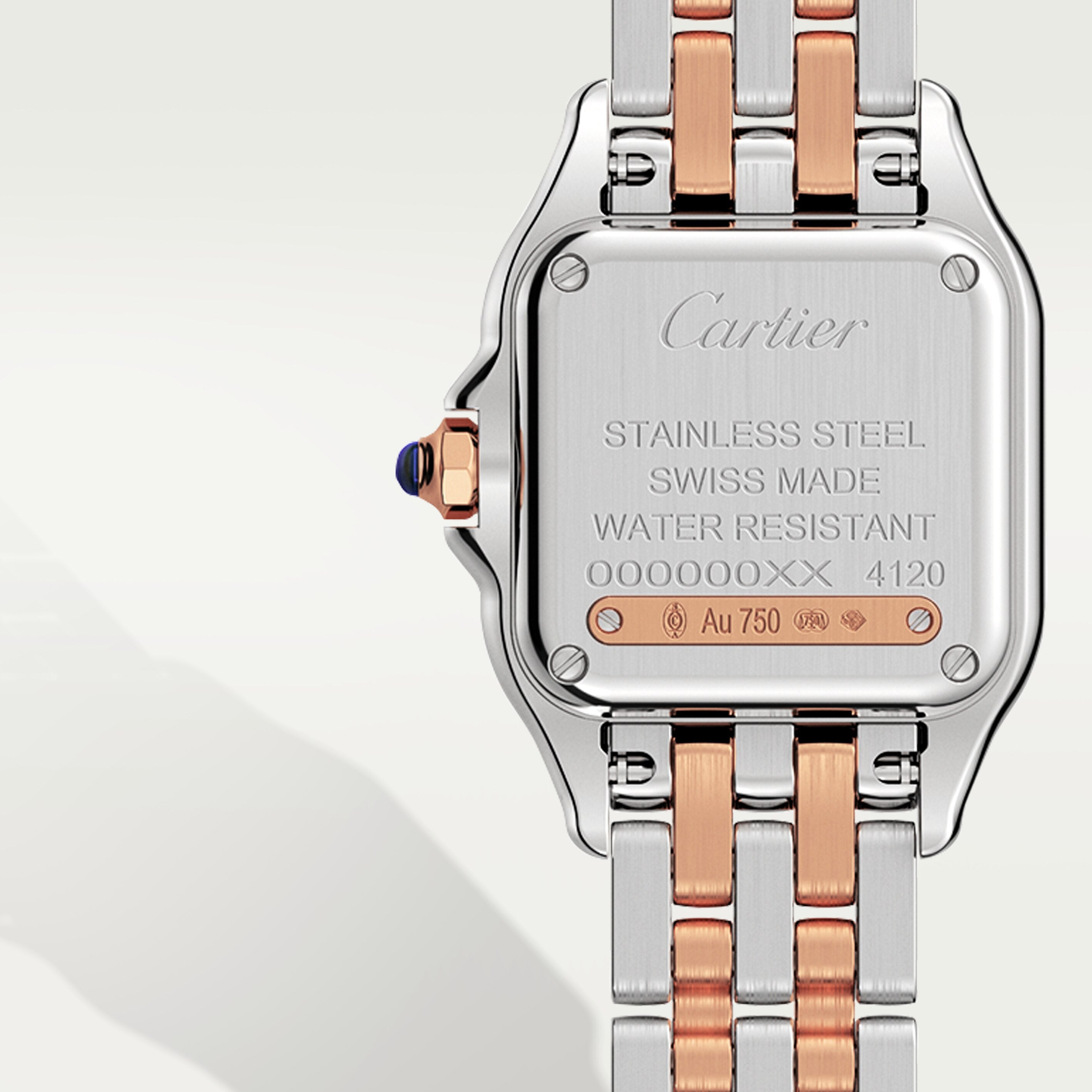 Panthère de Cartier5