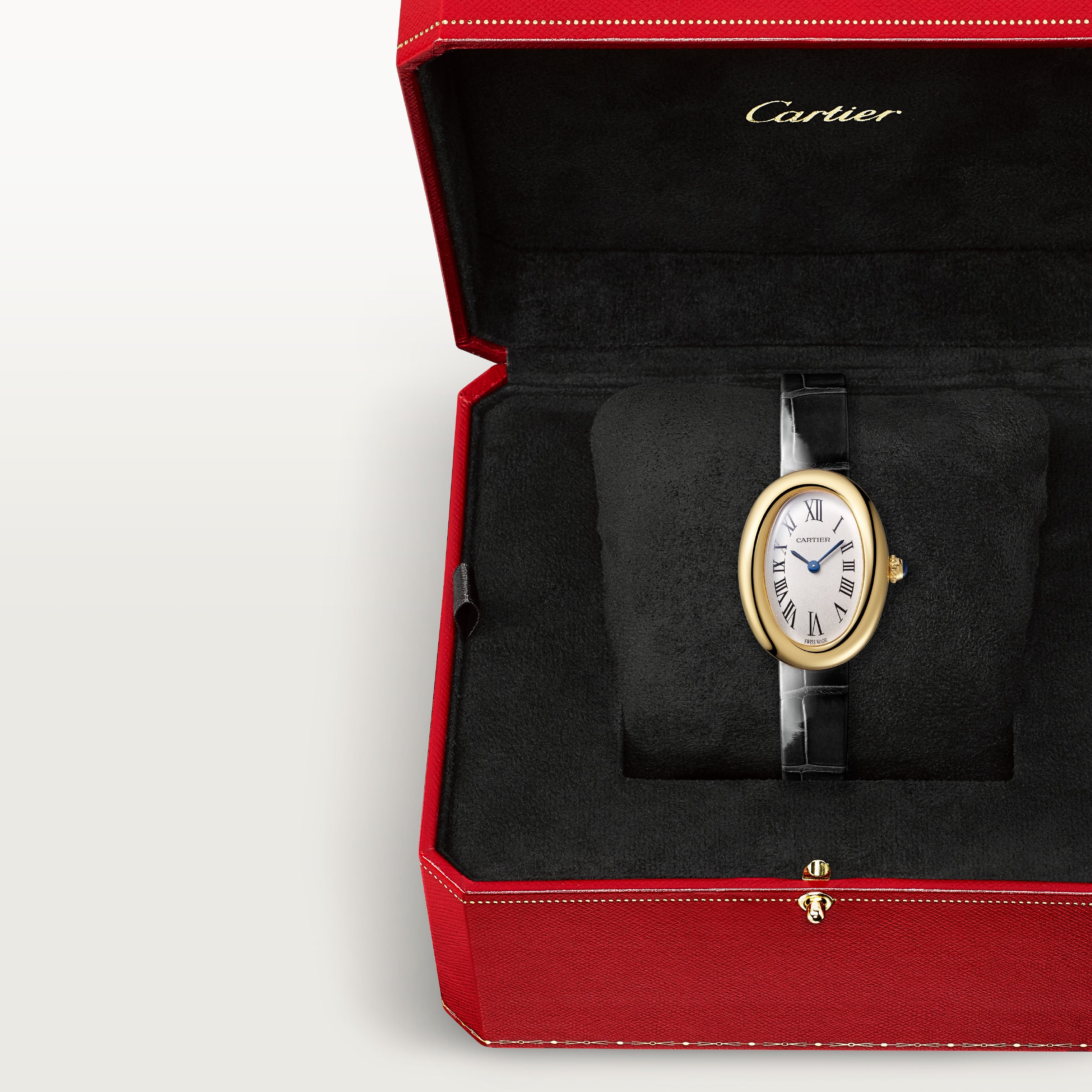 Baignoire watch de Cartier7