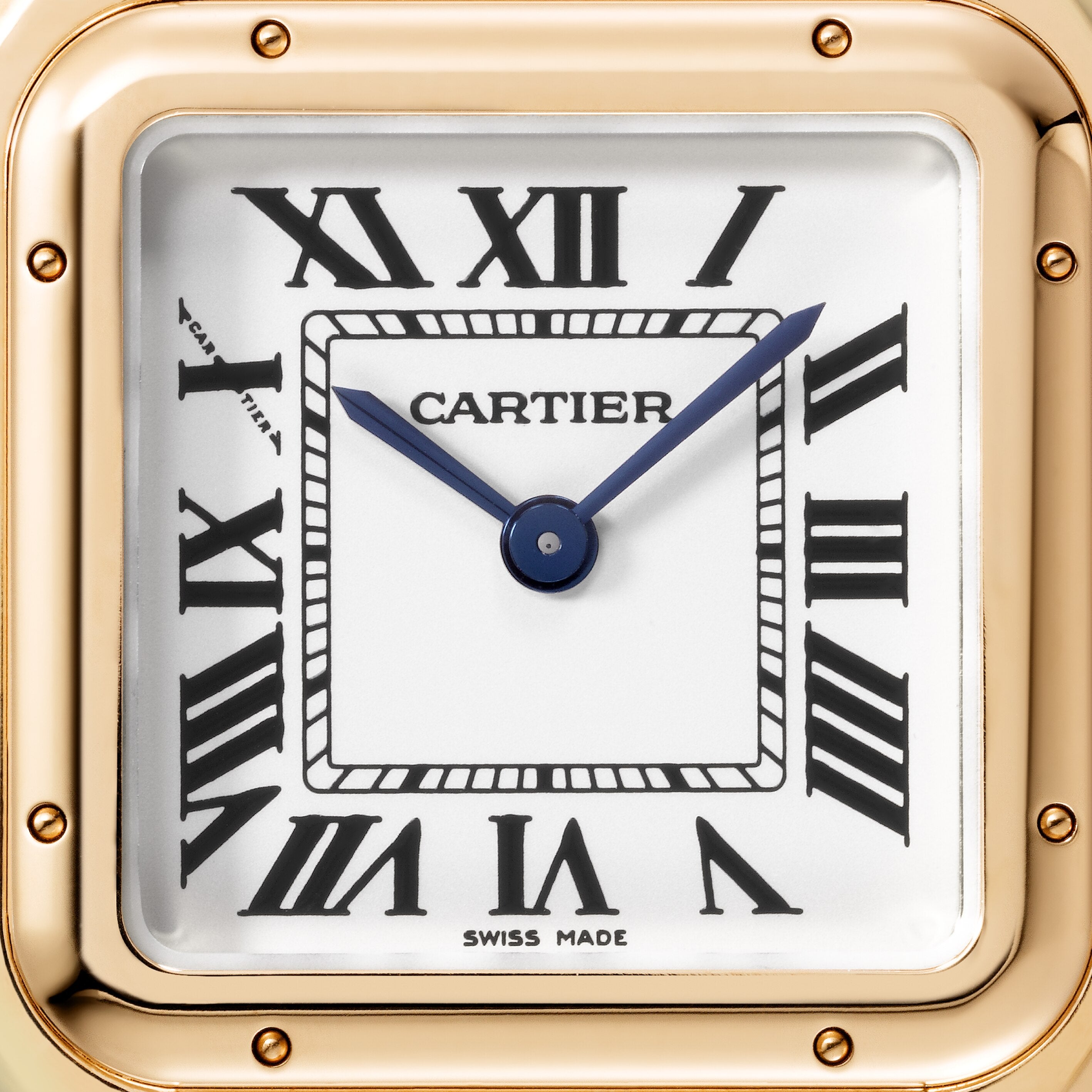 Panthère de Cartier6