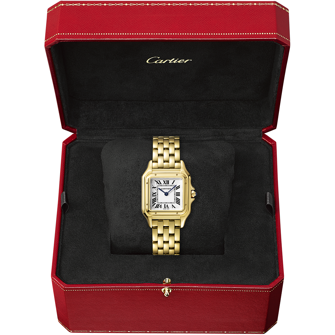 Panthère de Cartier5