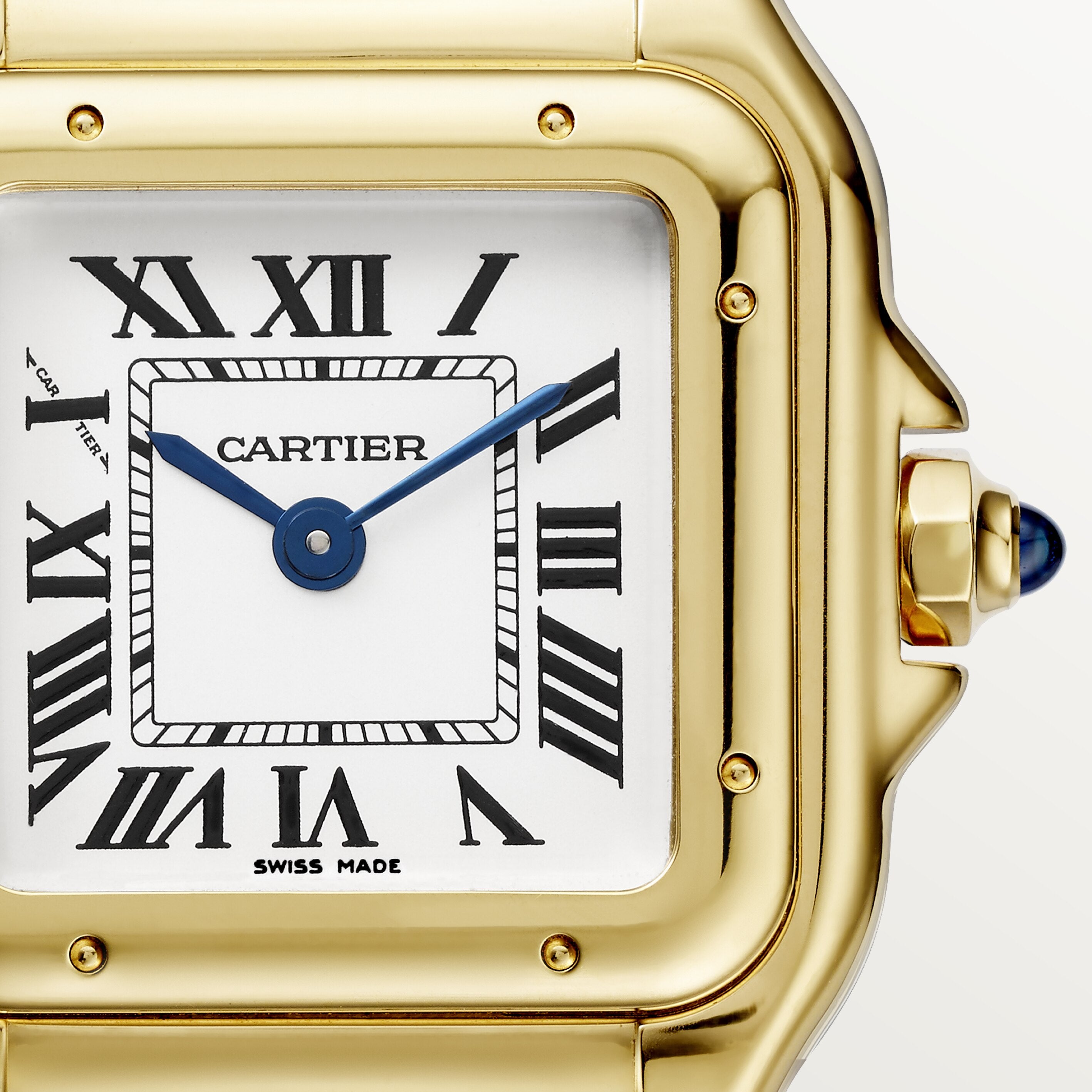 Panthère de Cartier5