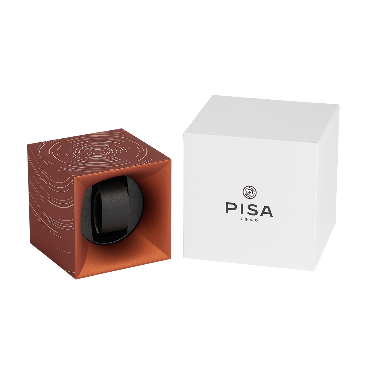 Startbox Logo Pisa 1940 - Bronze6