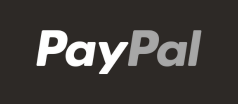 Payment icon 4
