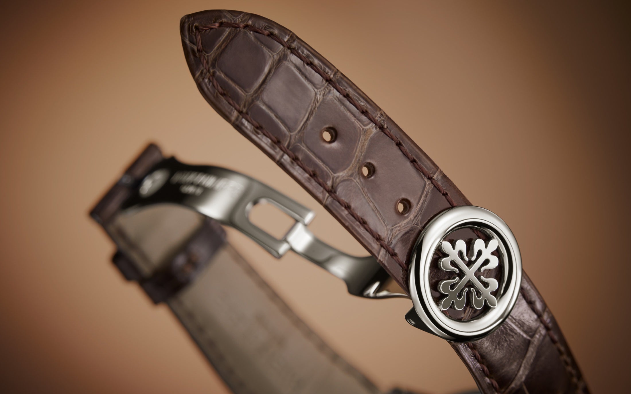 Orologio in platino Grandi Complicazioni Patek philippe