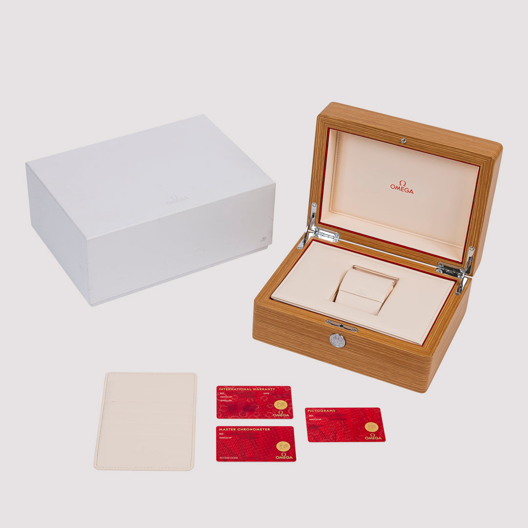 Orologio in steel Seamaster Planet Ocean Omega