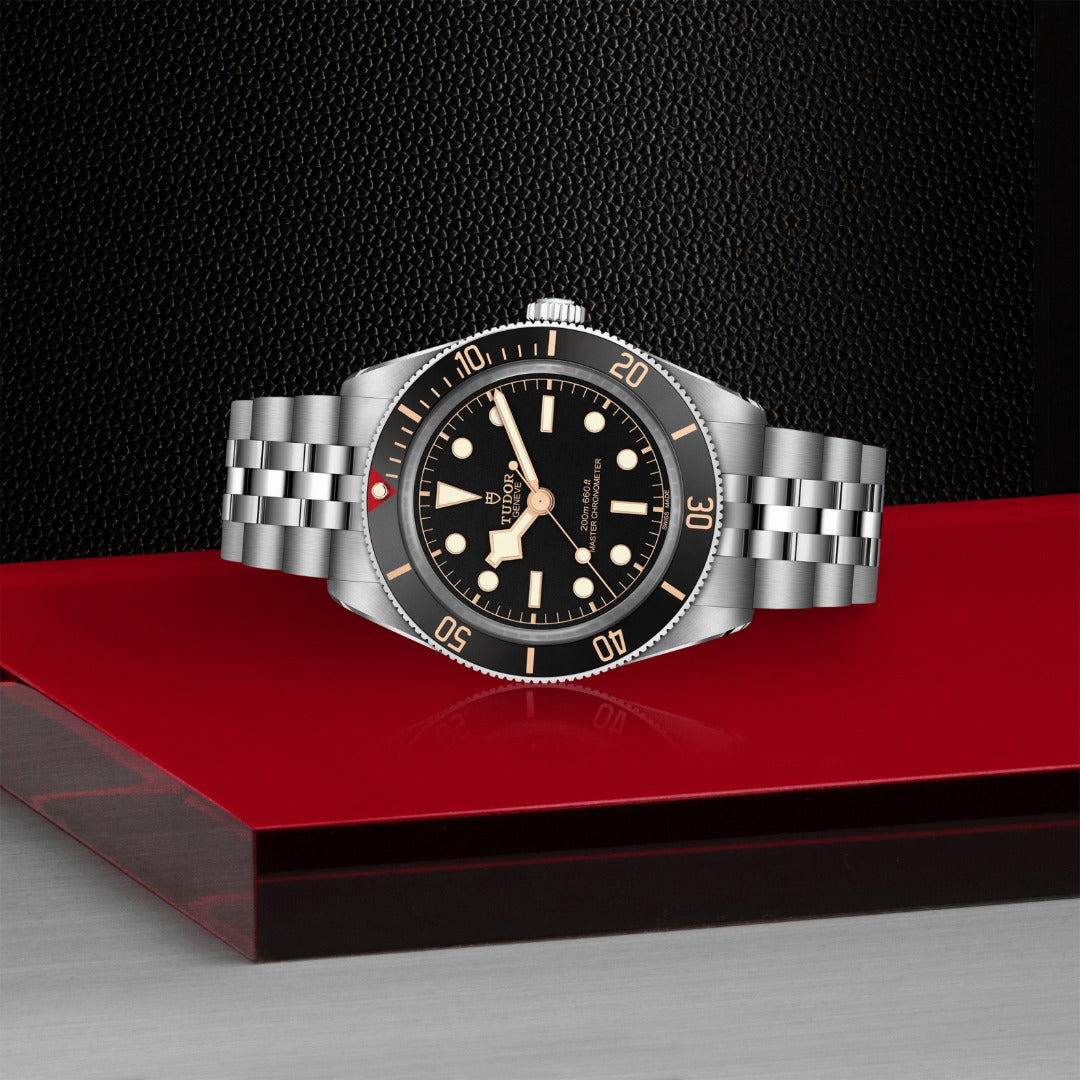 Watch in steel TUDOR Black Bay 58 Tudor