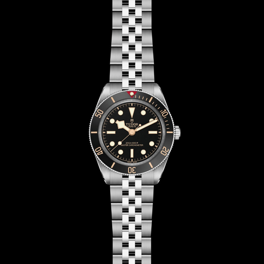 Watch in steel TUDOR Black Bay 58 Tudor