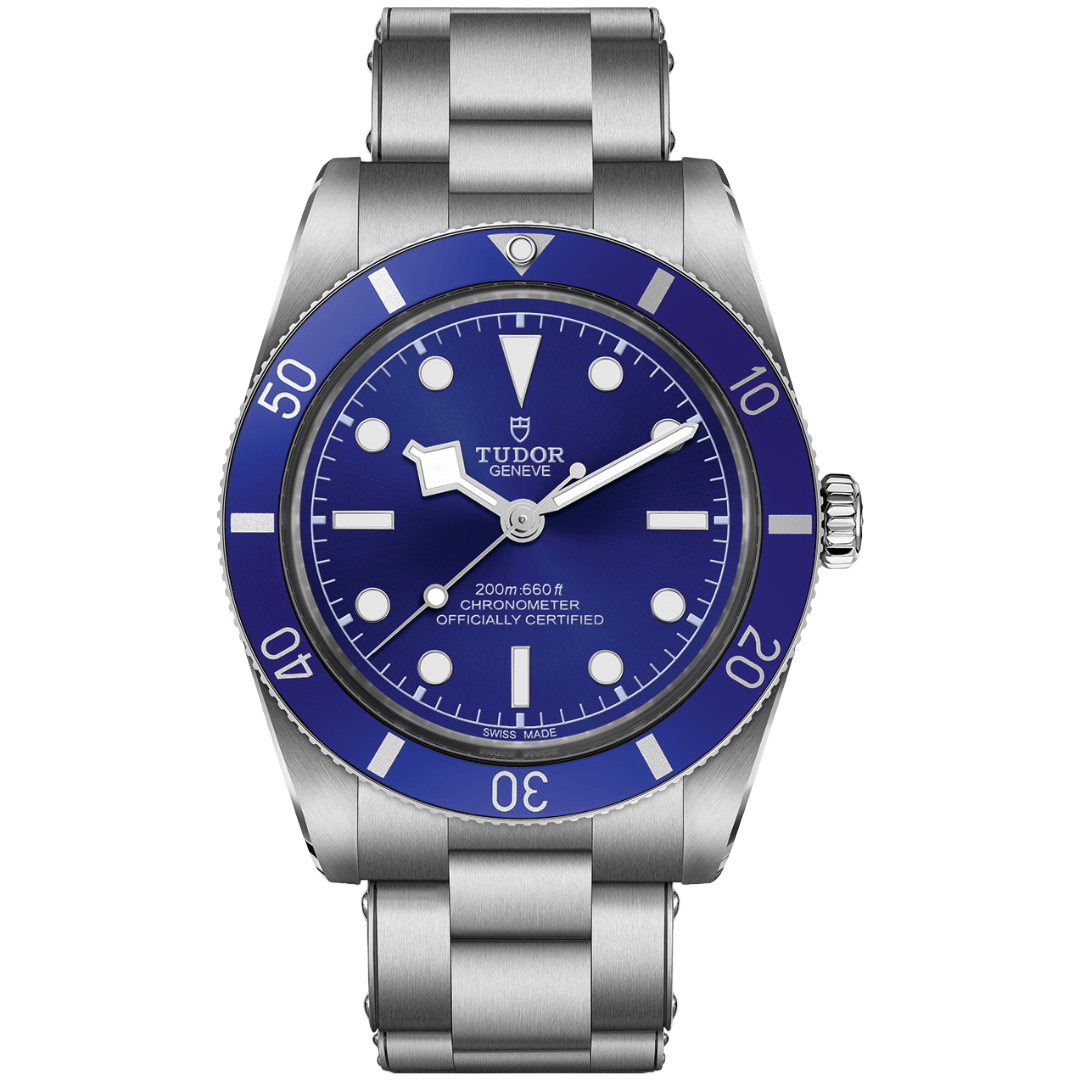 Watch in steel Black Bay 54 Tudor