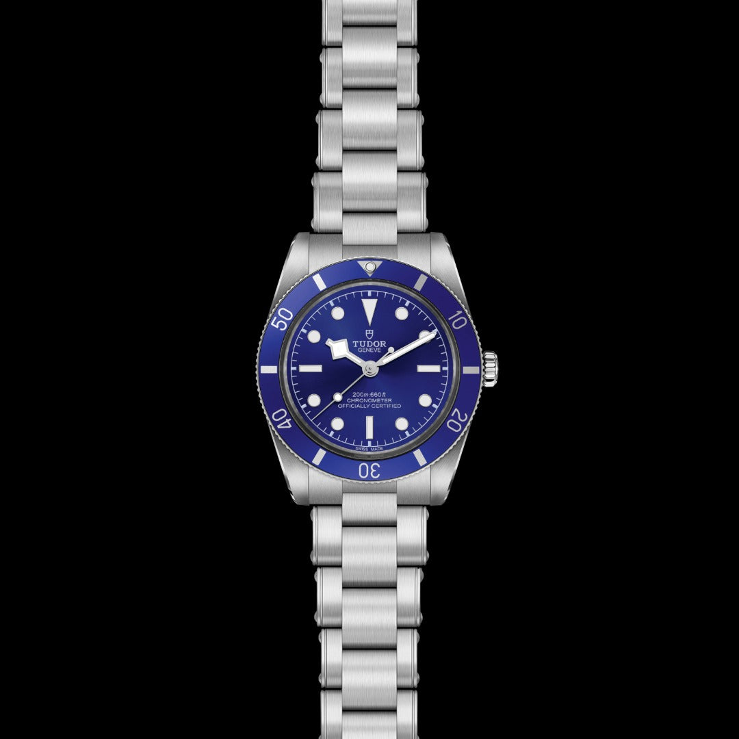 Watch in steel Black Bay 54 Tudor