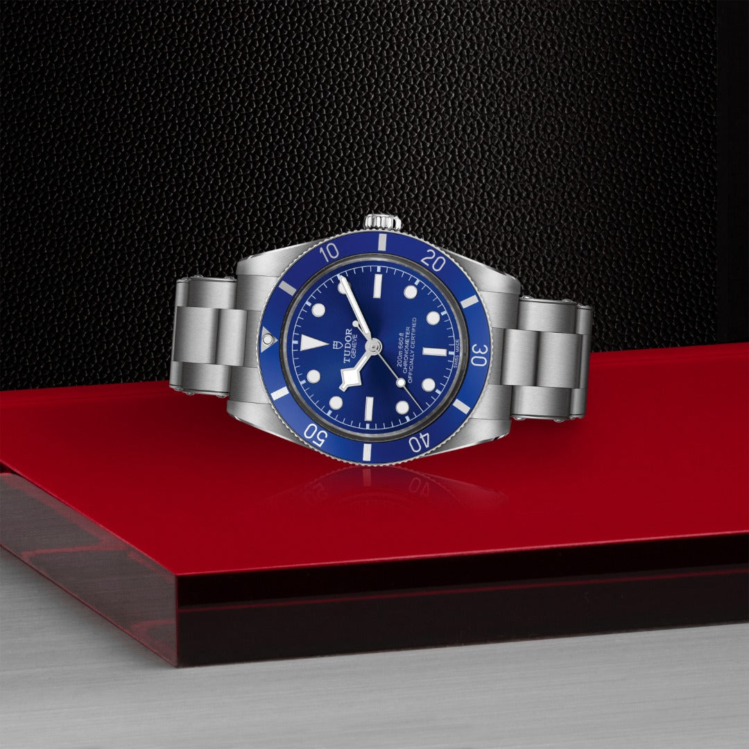 Watch in steel Black Bay 54 Tudor