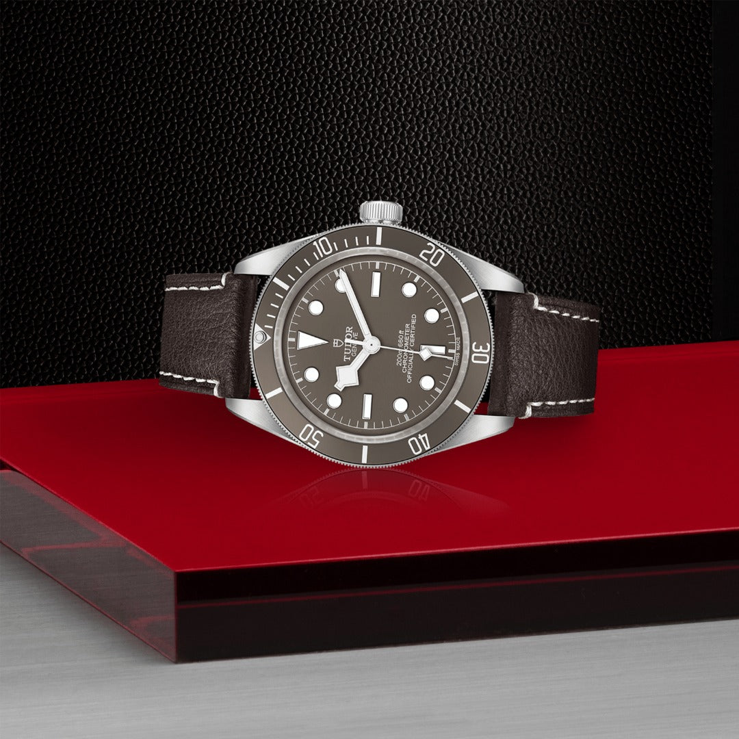 Orologio in argento Black Bay 58 925 Tudor