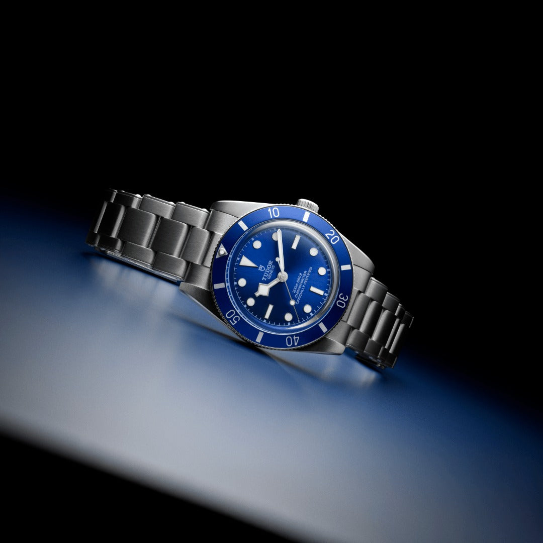 Watch in steel Black Bay 54 Tudor