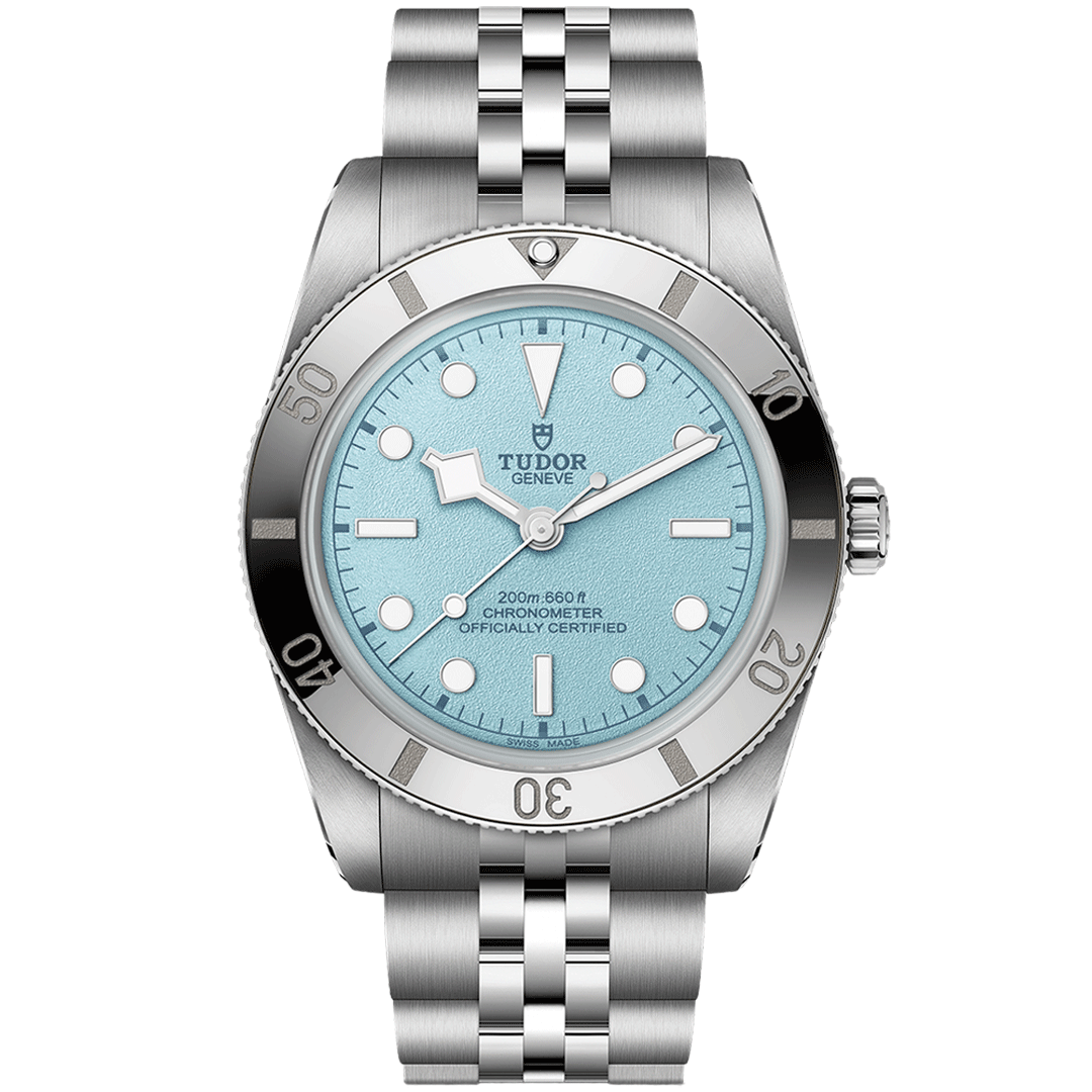 Watch in steel Black Bay 54 