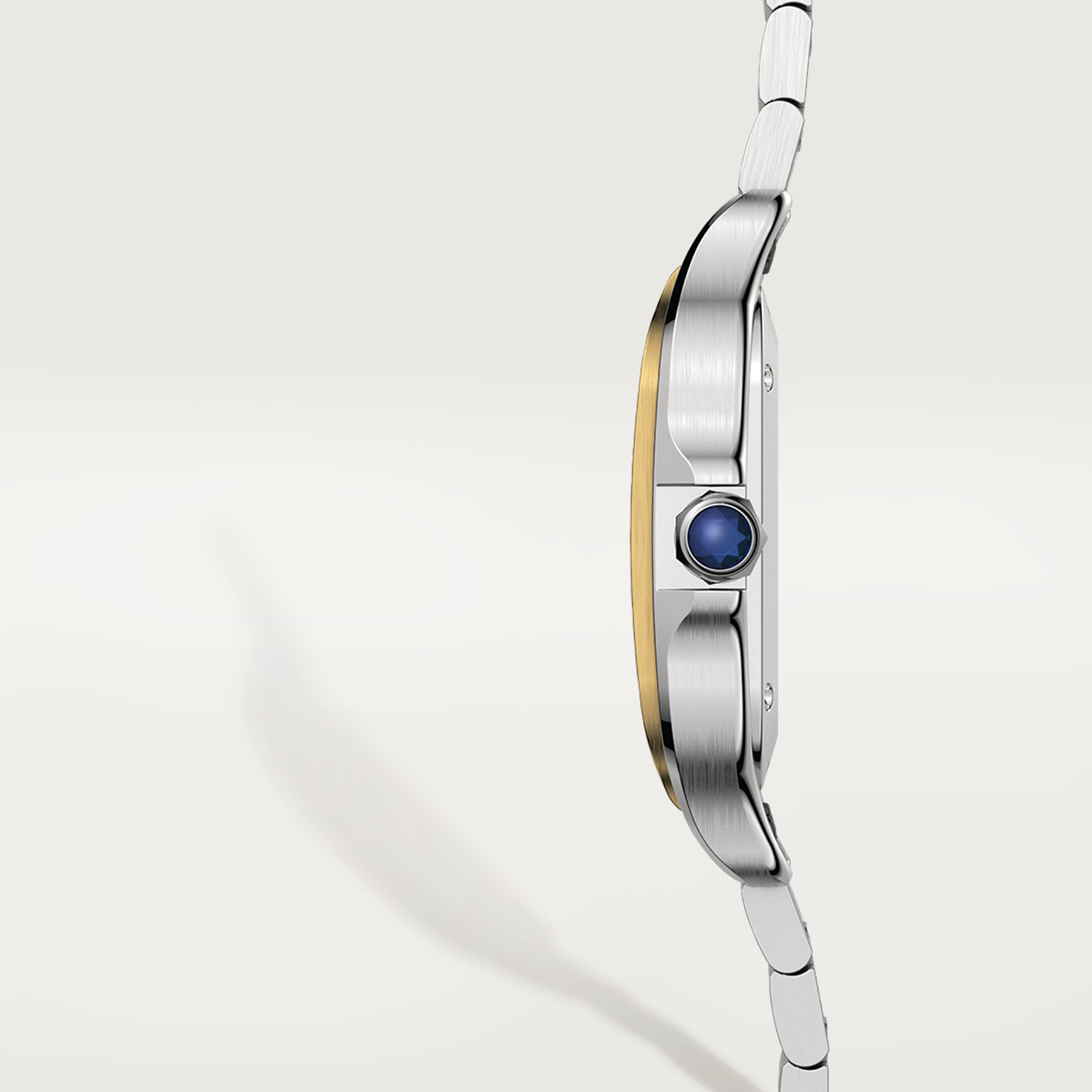 Santos de Cartier3