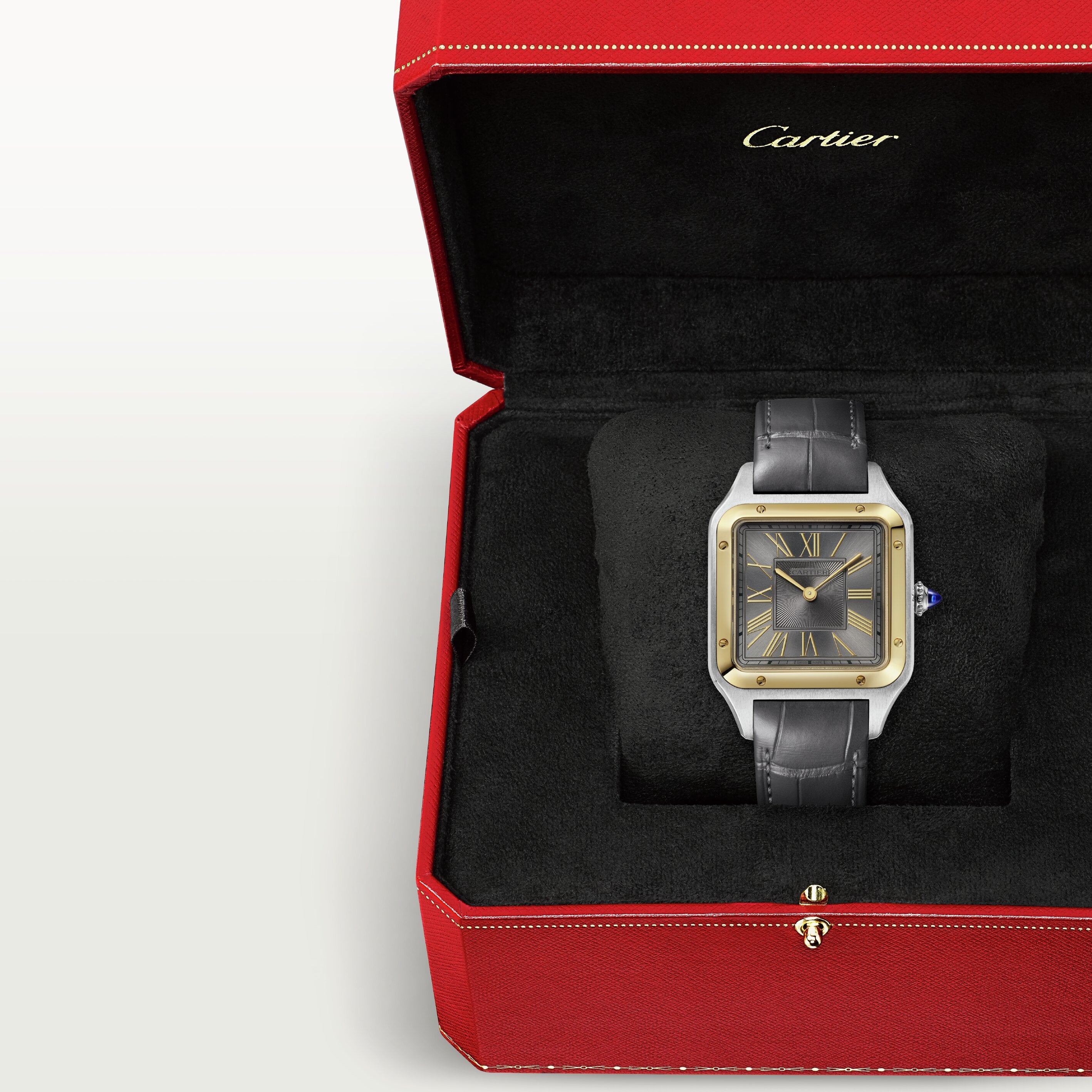 Orologio in acciaio e oro giallo Santos de Cartier Cartier