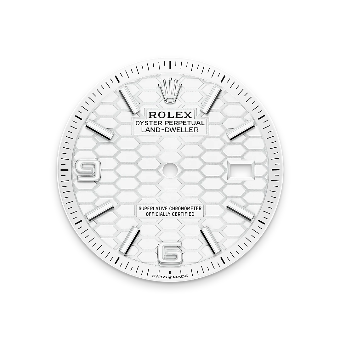 Rolex Land-Dweller in White Rolesor - combination of Oystersteel and white gold, M127234-0001 - Pisa 1940