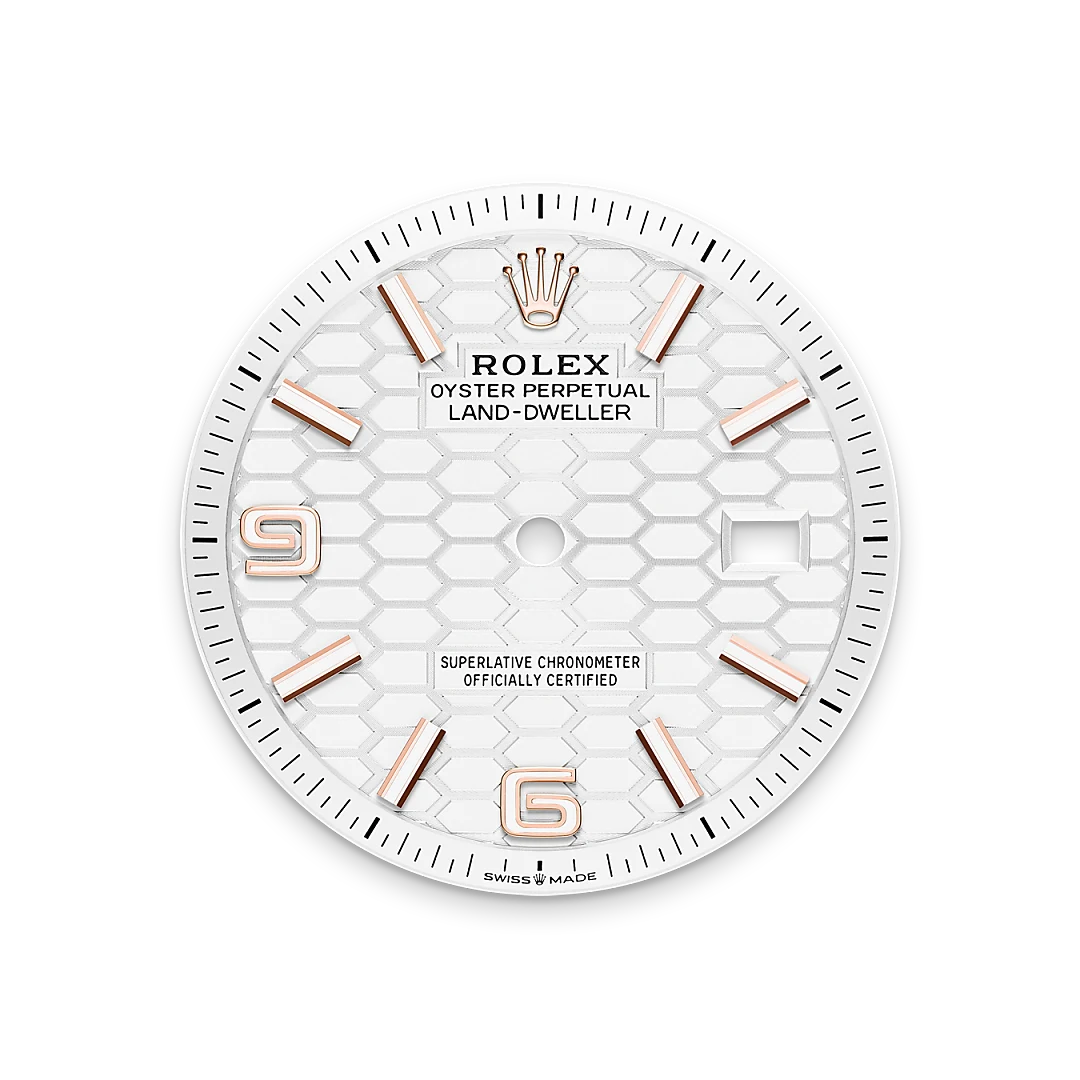 Rolex Land-Dweller 36, M127235-0001 | Sergio Capone