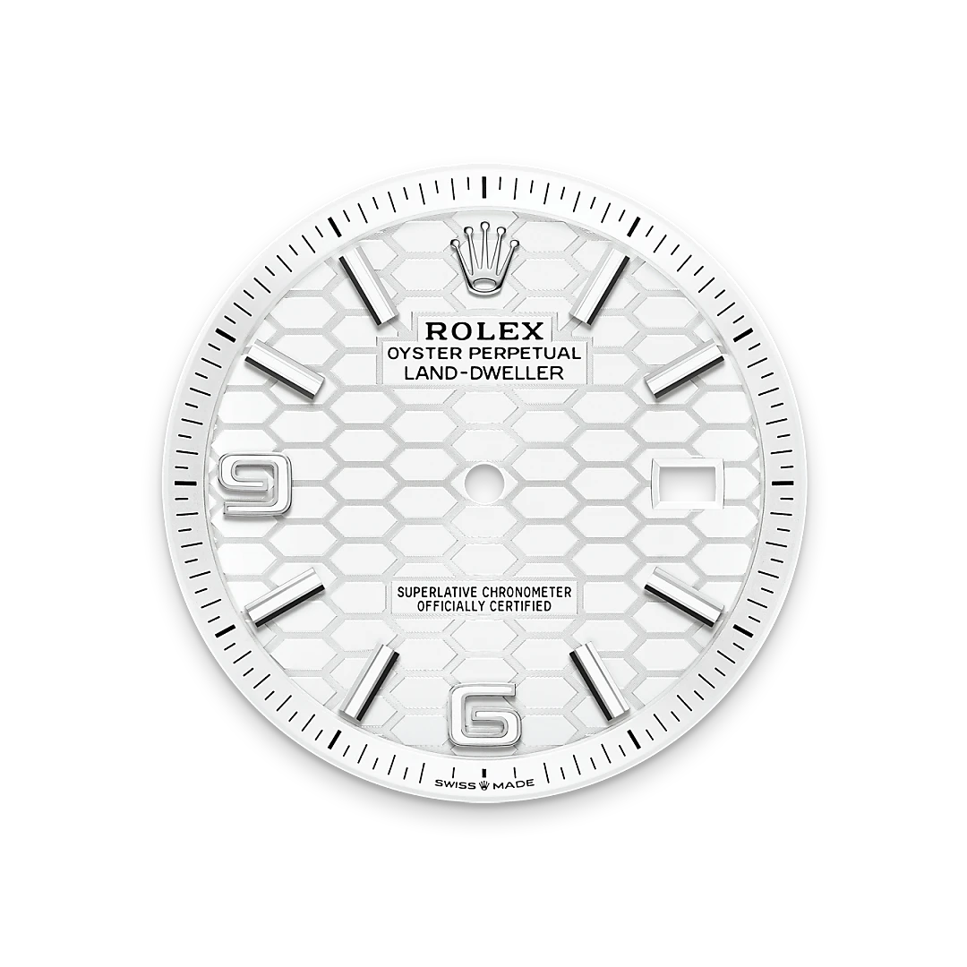 Rolex Land-Dweller 40, M127334-0001 | Sergio Capone