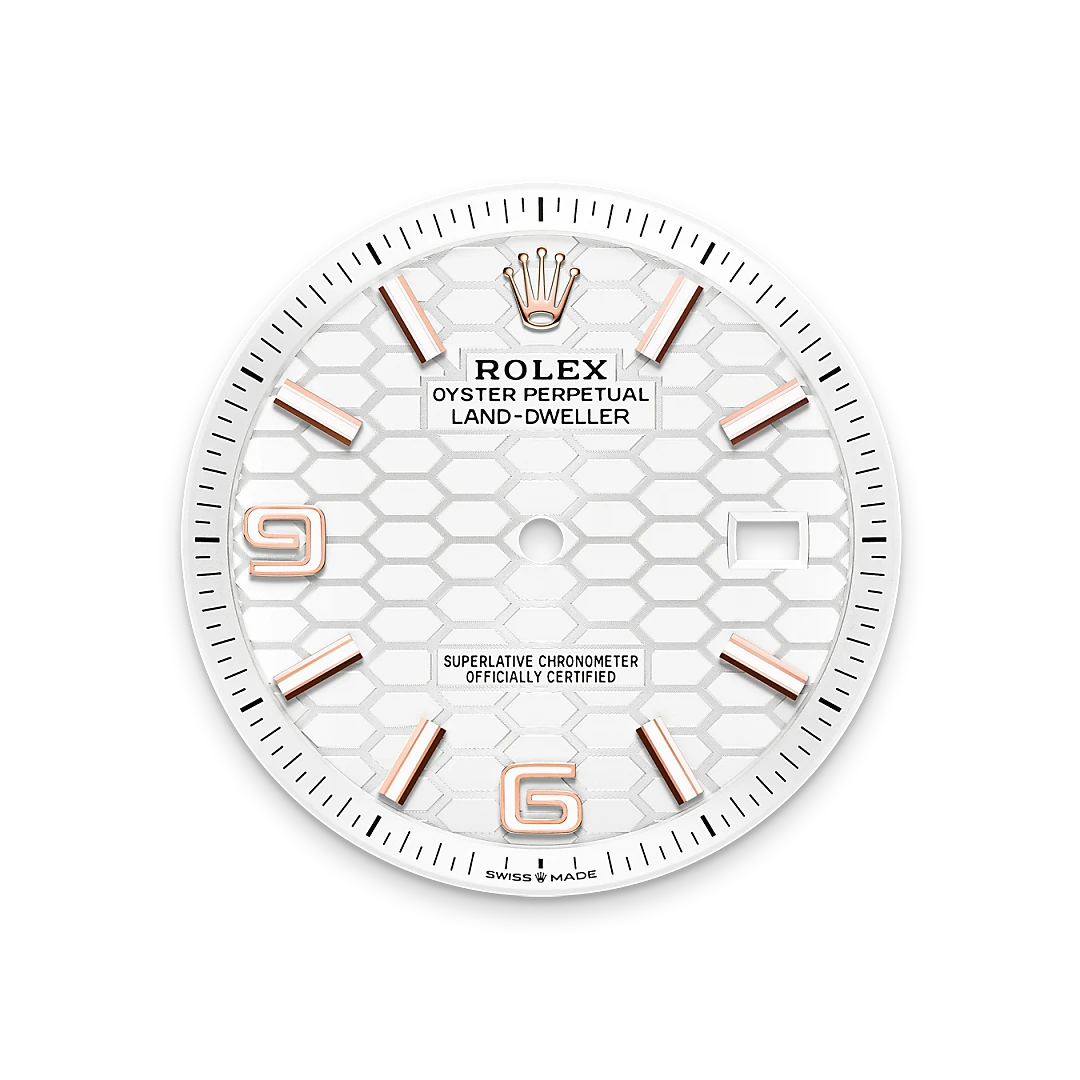 Rolex Land-Dweller 40, M127335-0001 | Sergio Capone