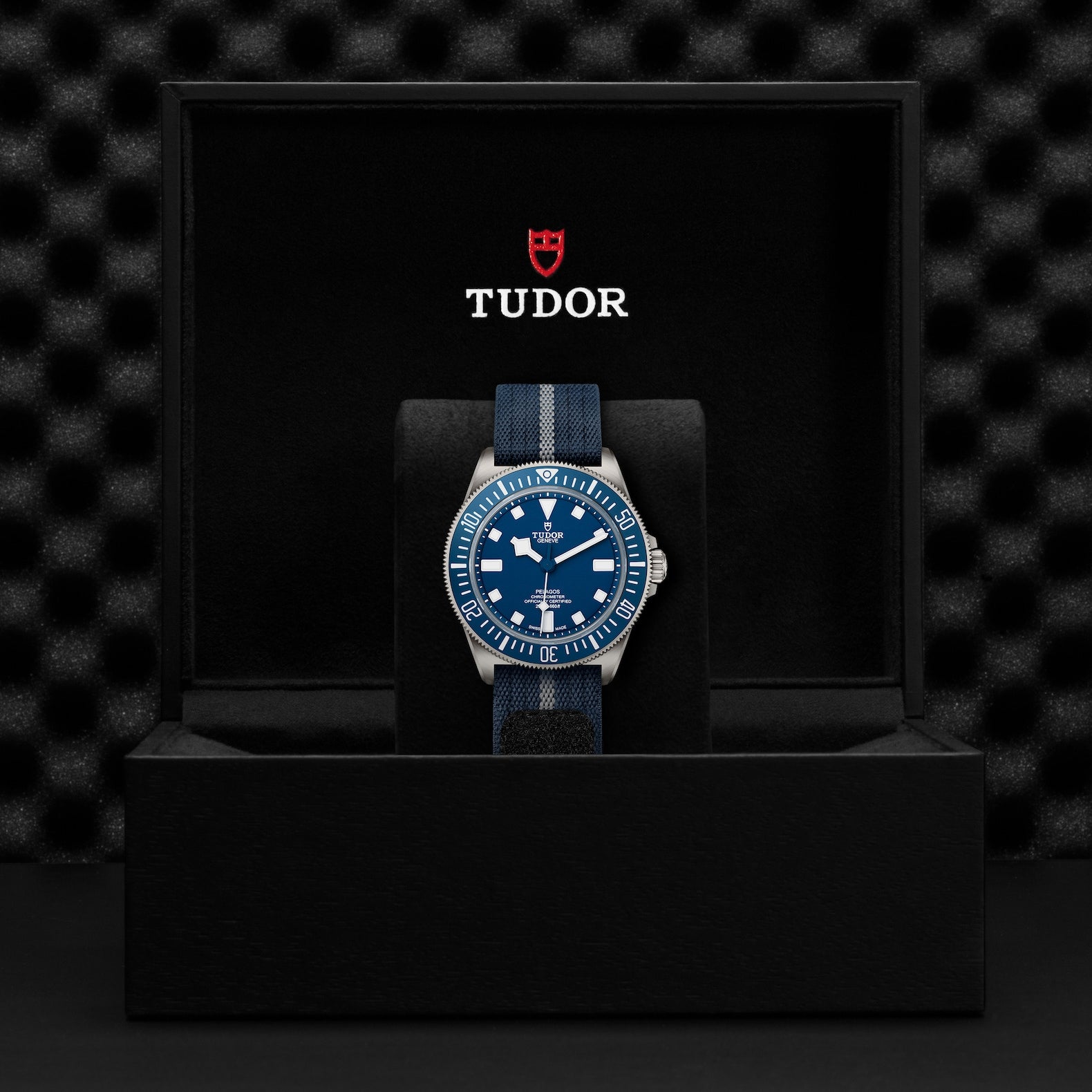  TUDOR Pelagos, 42 mm4