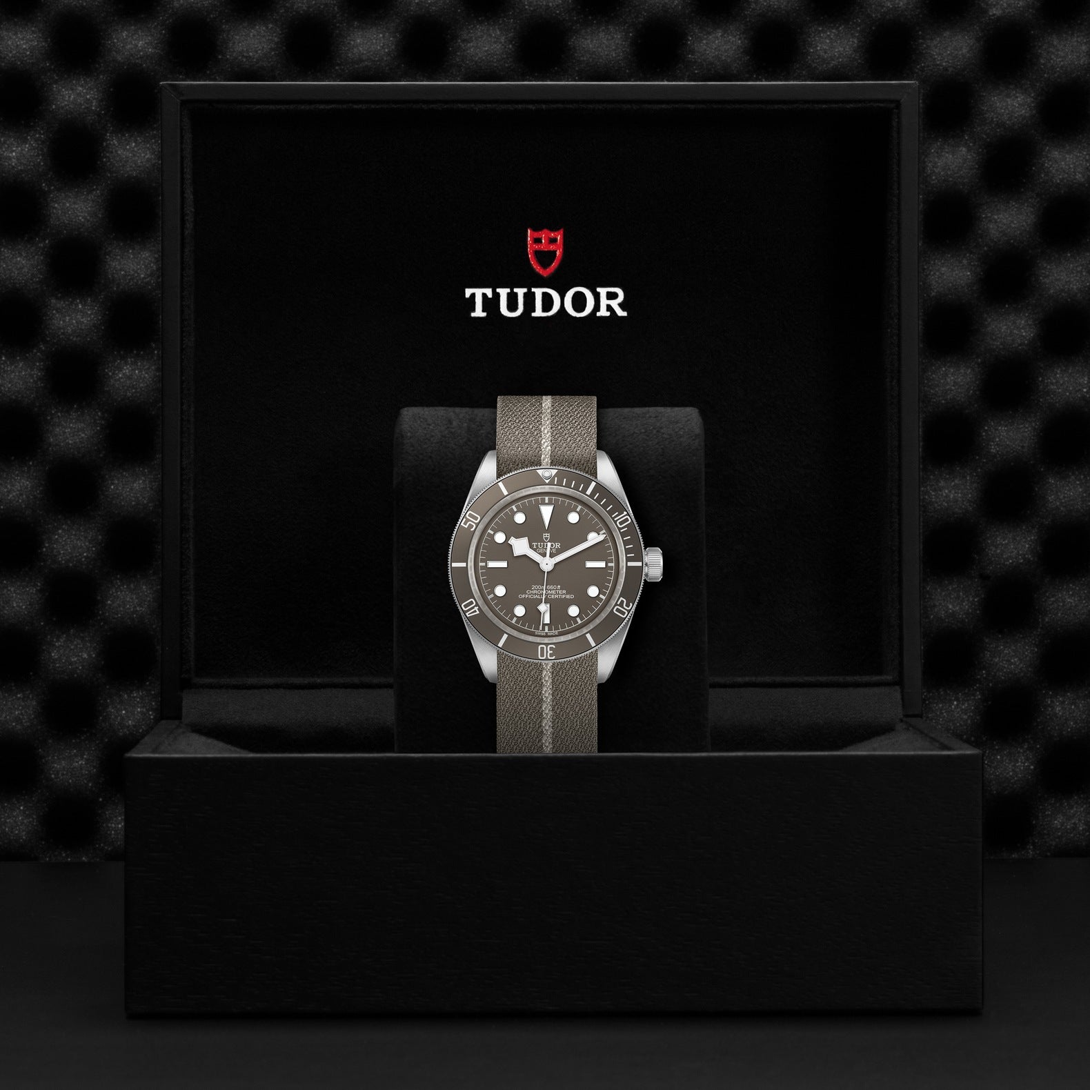 TUDOR Black Bay 58, 39 mm5