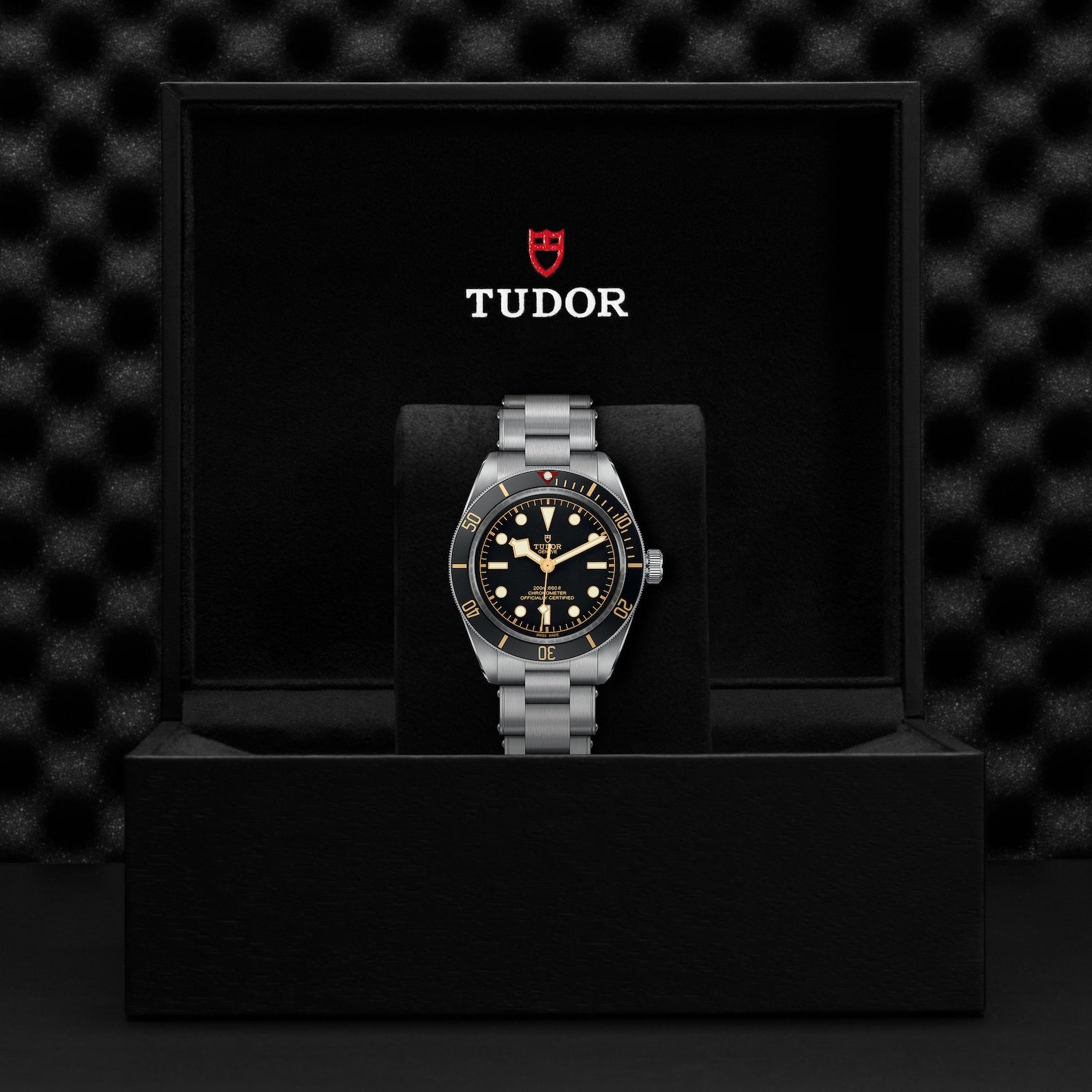 Orologio in acciaio Black Bay, 39 mm Tudor
