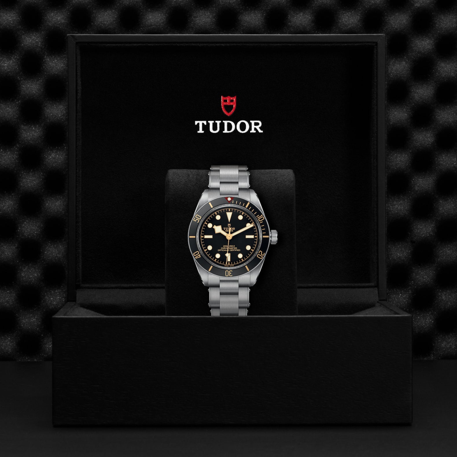 TUDOR Black Bay, 39 mm4