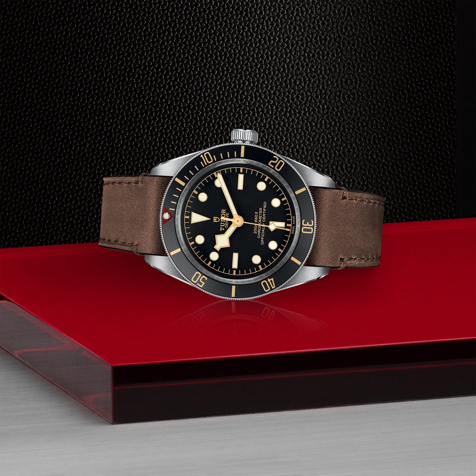 TUDOR Black Bay 58, 39 mm2