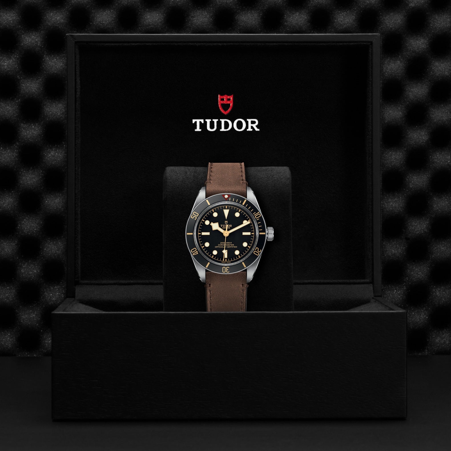 TUDOR Black Bay 58, 39 mm4