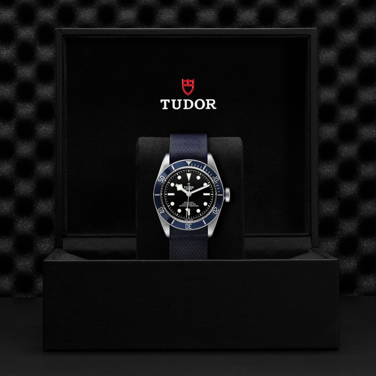 TUDOR Black Bay, 41 mm4