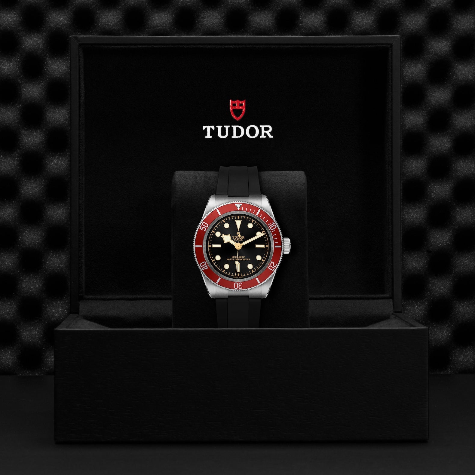 Orologio in acciaio Black Bay, 41 mm Tudor