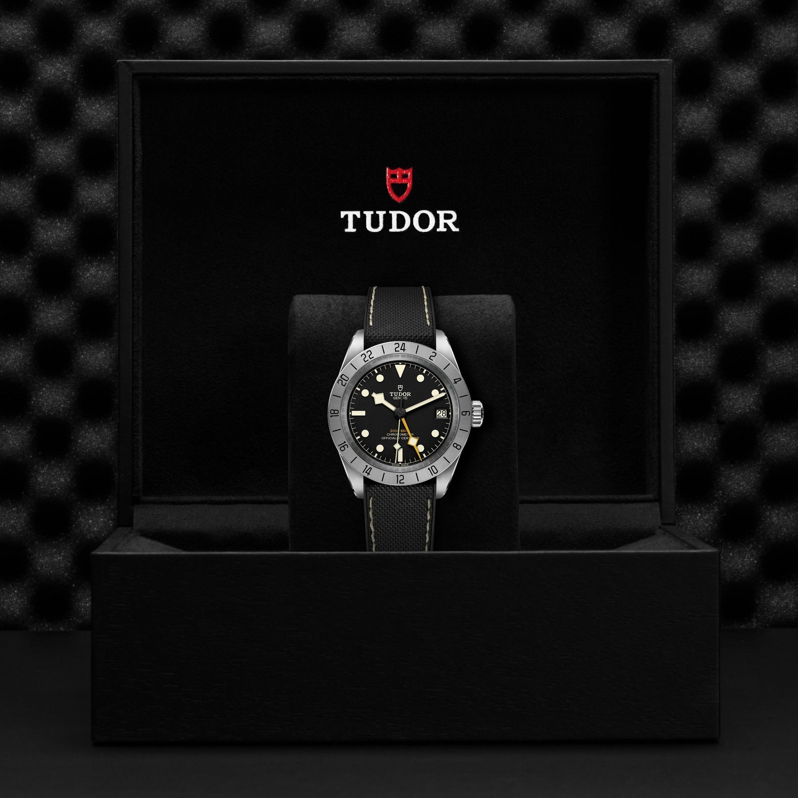 TUDOR Black Bay PRO, 39 mm4