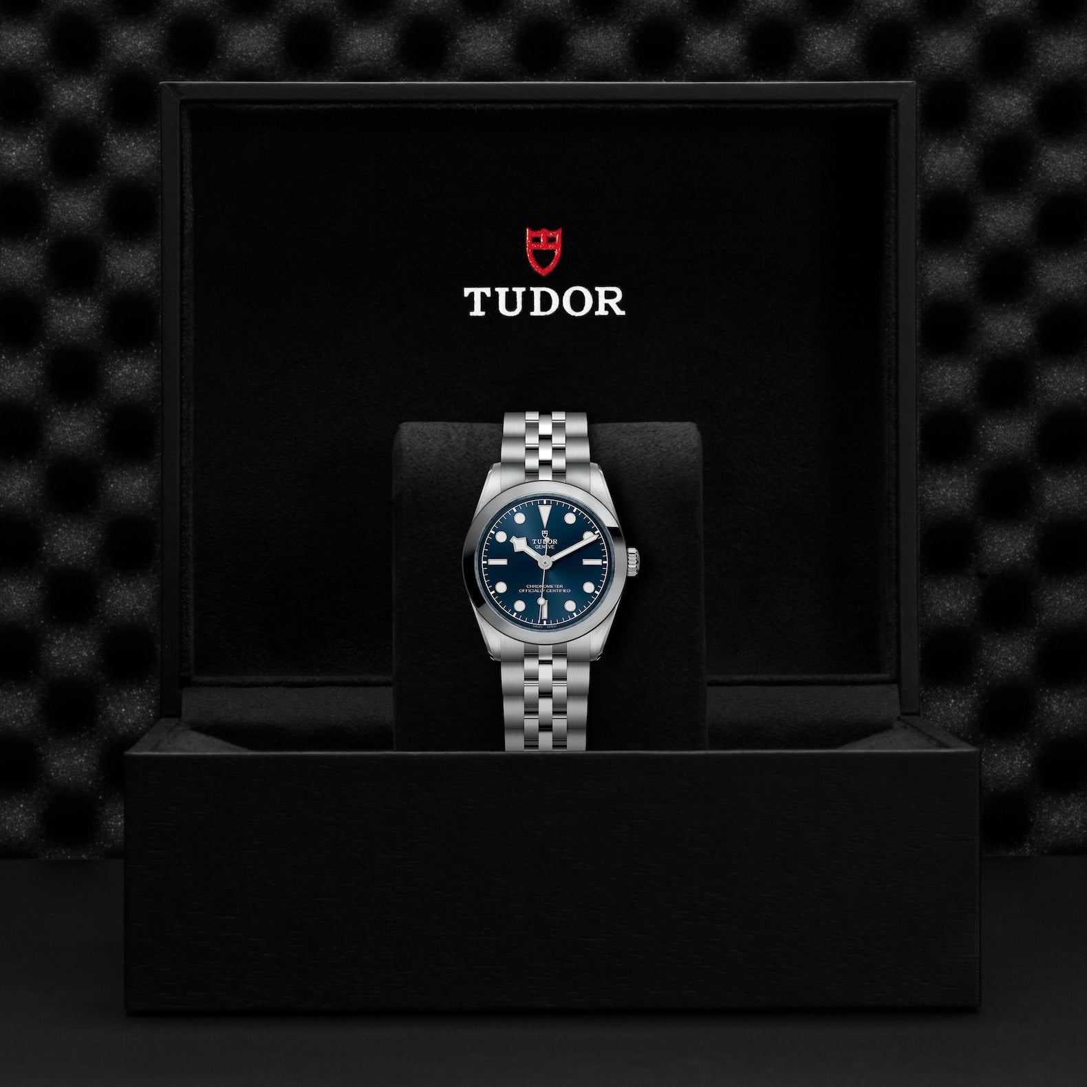 TUDOR Black Bay, 31 mm4