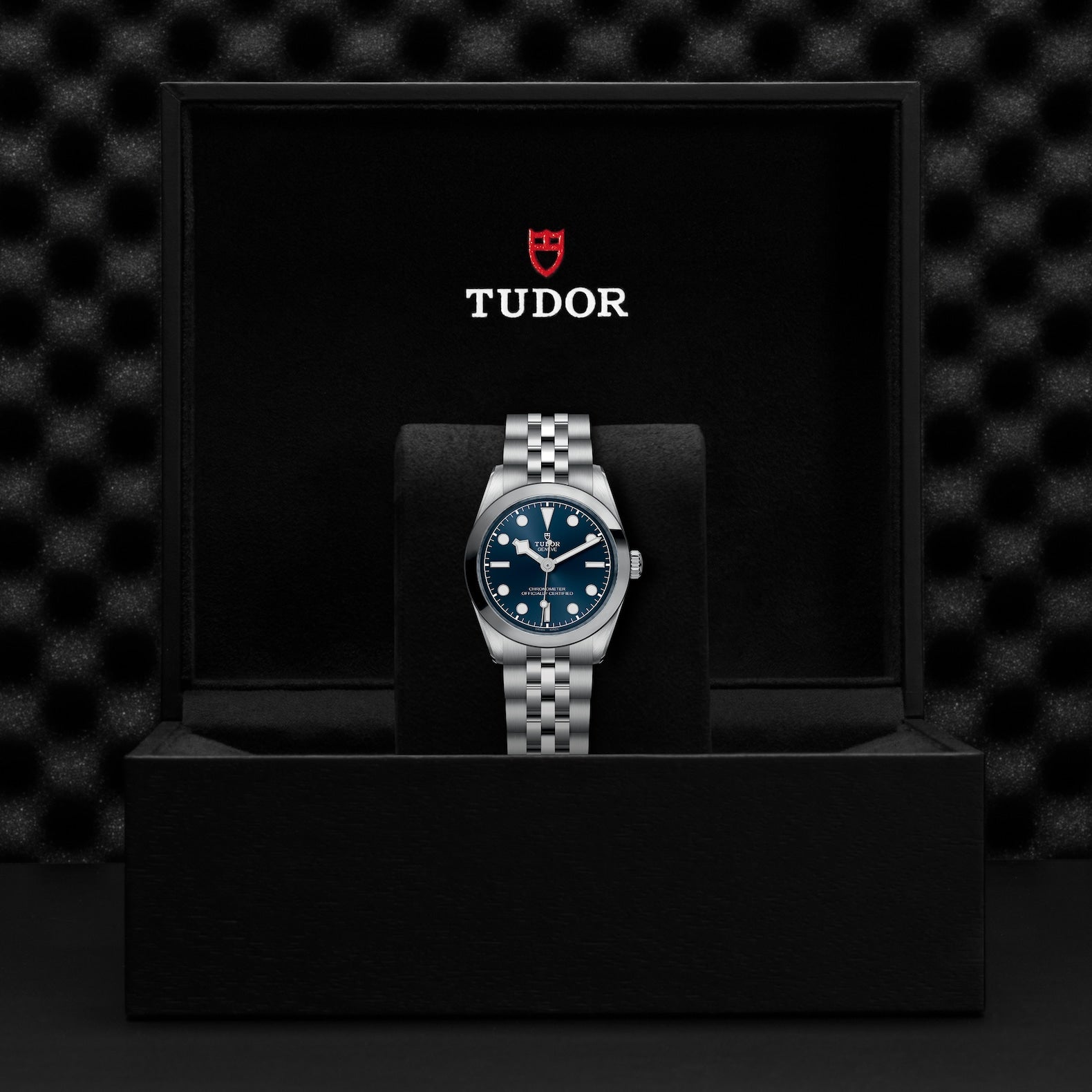 Watch in steel Black Bay, 31 mm Tudor