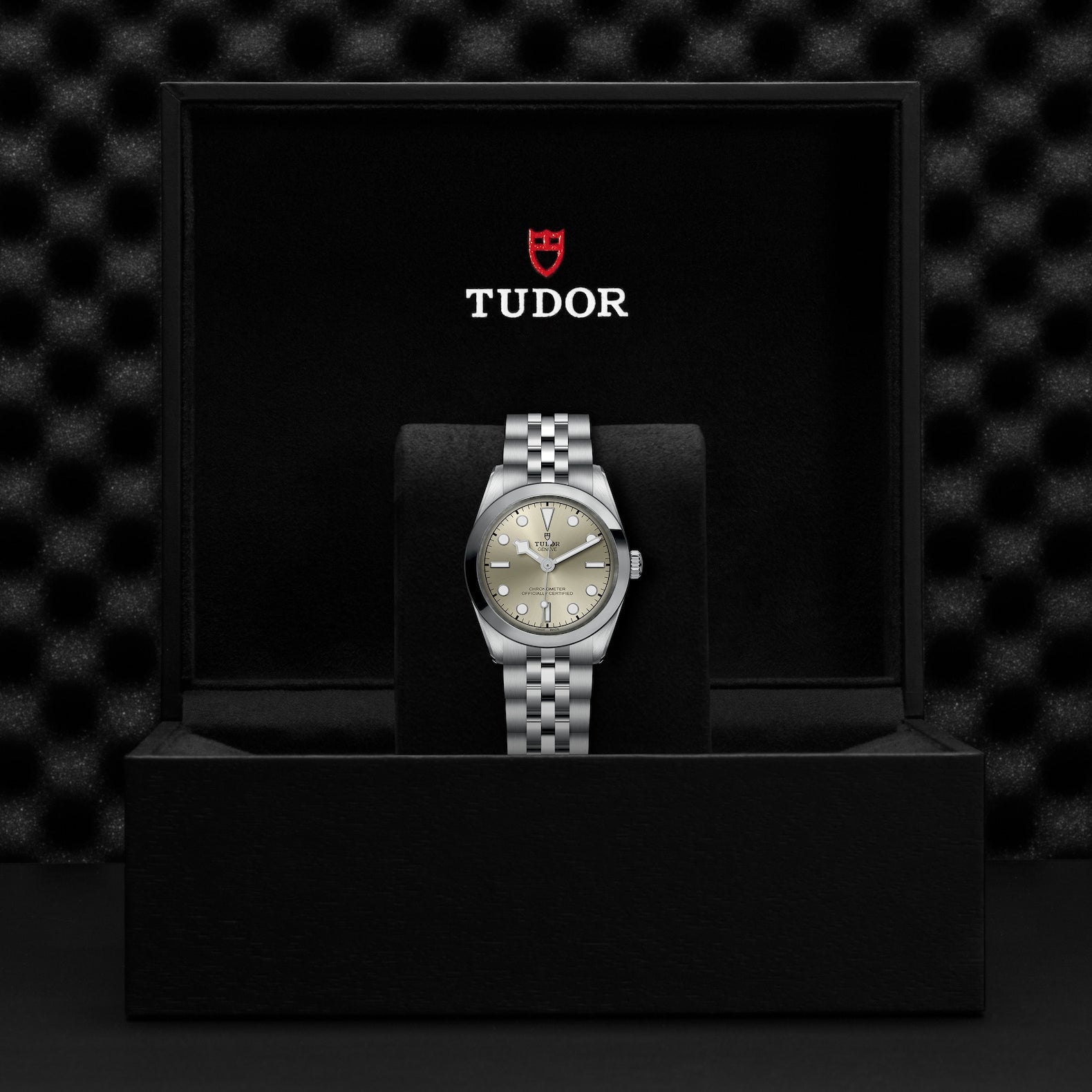 Watch in steel Black Bay, 31 mm Tudor