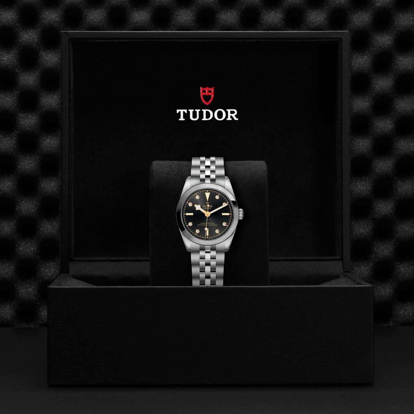 Orologio in acciaio Black Bay, 31 mm Tudor