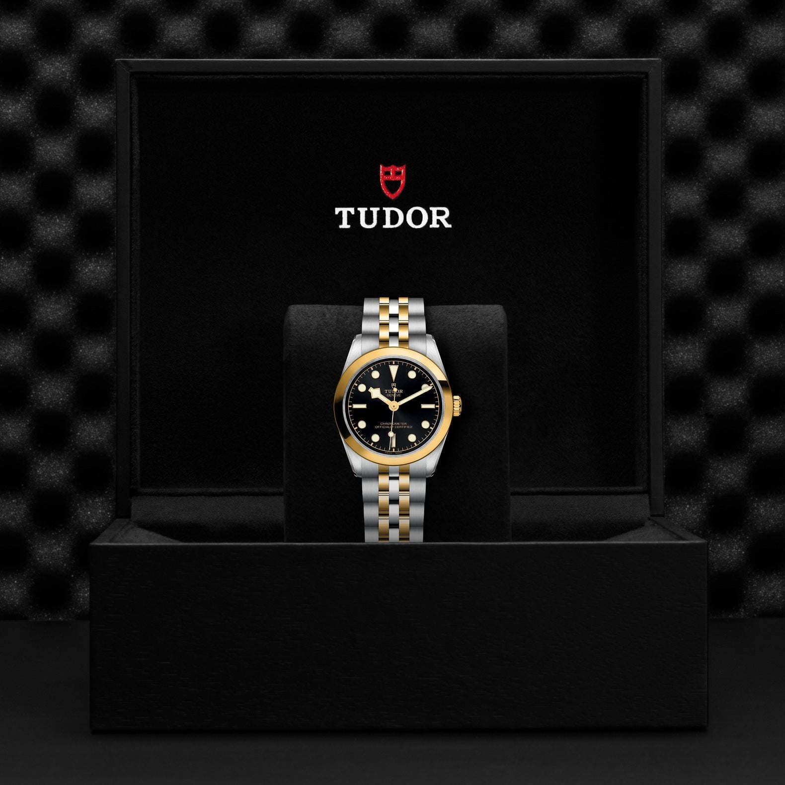 Orologio in acciaio e oro giallo Black Bay S&G, 31 mm Tudor