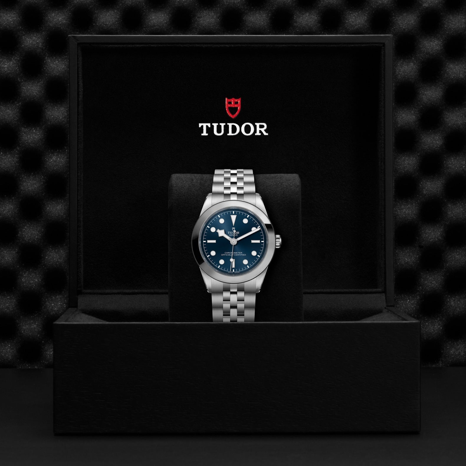 Orologio in acciaio Black Bay, 39 mm Tudor