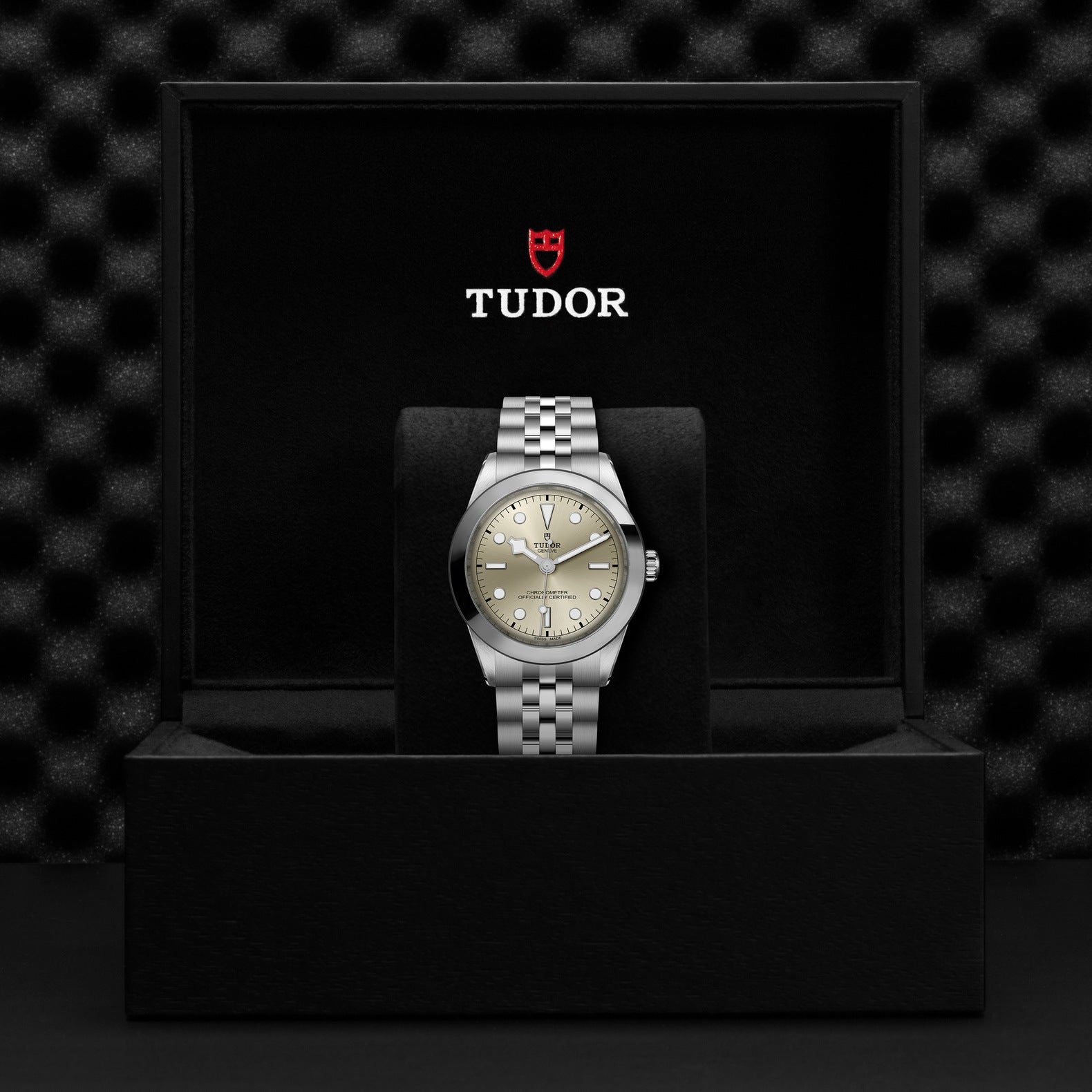 Orologio in acciaio Black Bay, 39 mm Tudor
