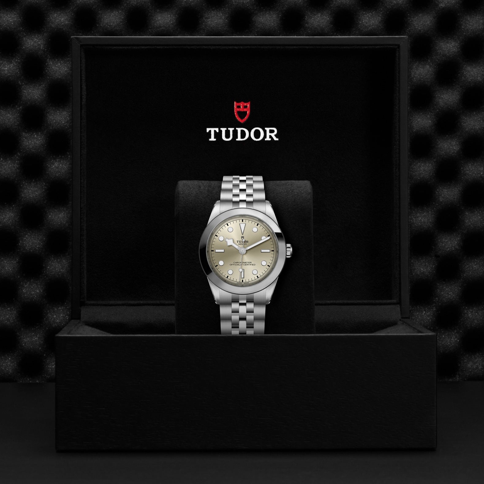 TUDOR Black Bay, 39 mm3