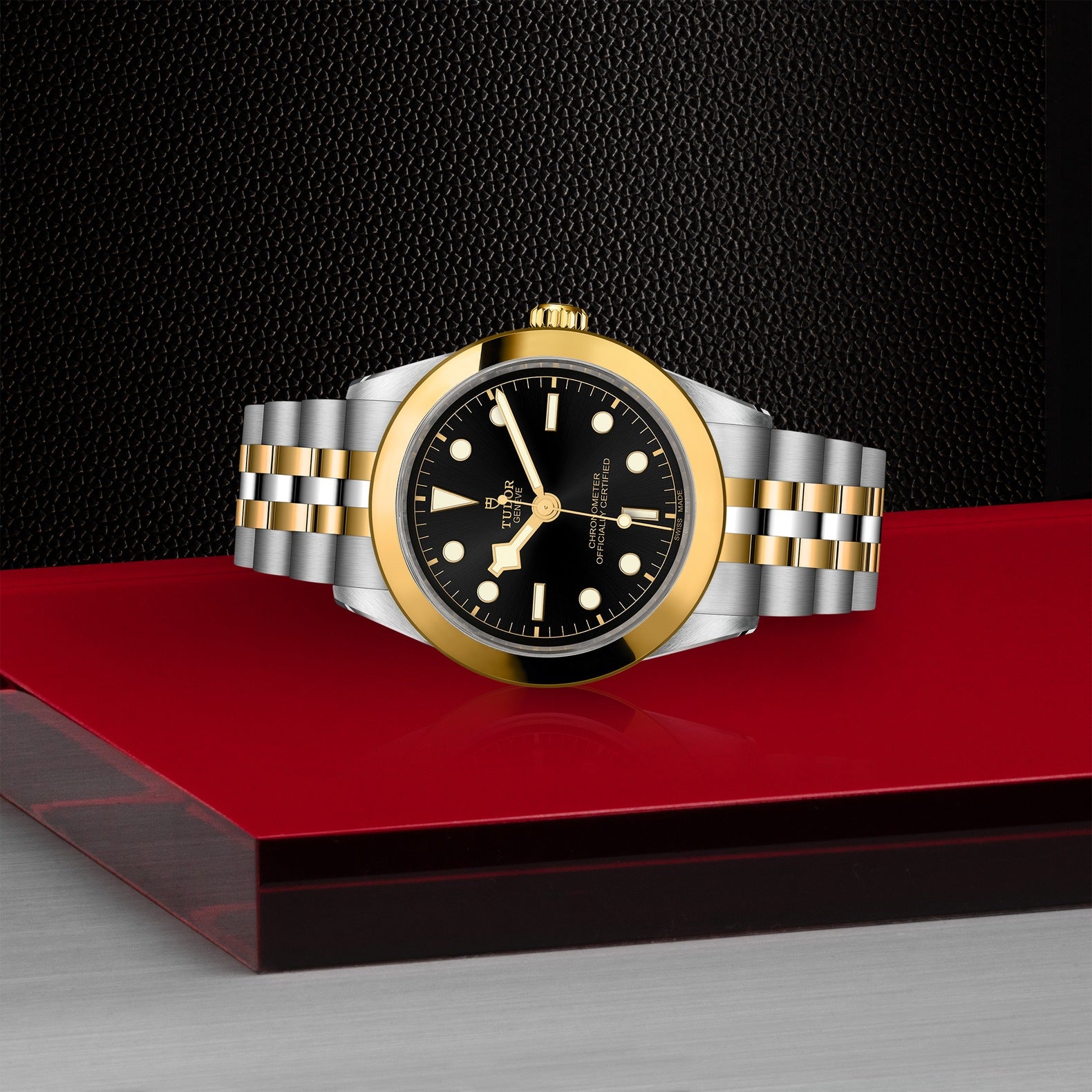 TUDOR Black Bay S&G, 39 mm3